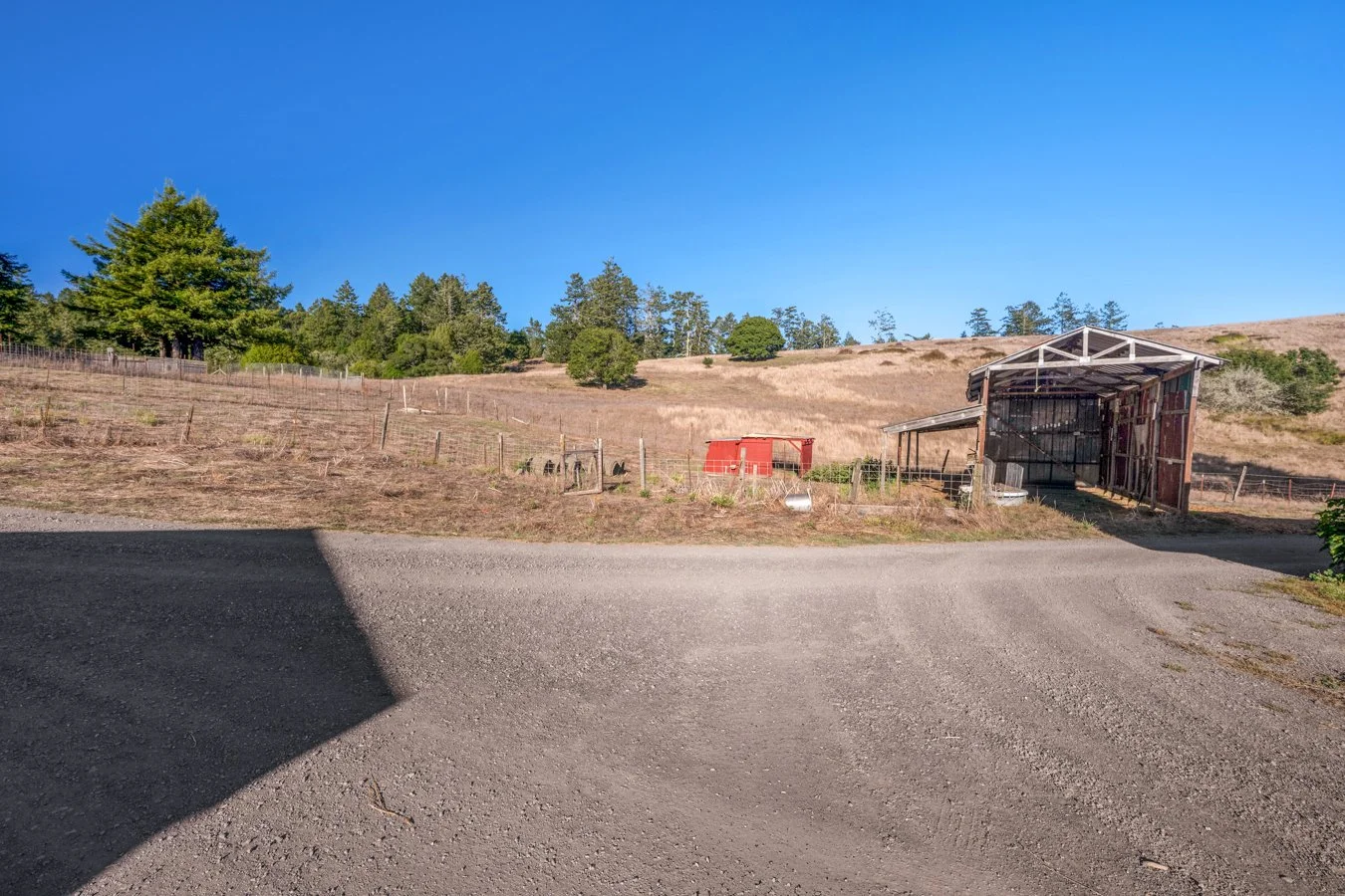 Rural farm scene with a gravel driveway leading to a small barn or shed, dry grass-covered rolling hills, and green trees under a clear blue sky.