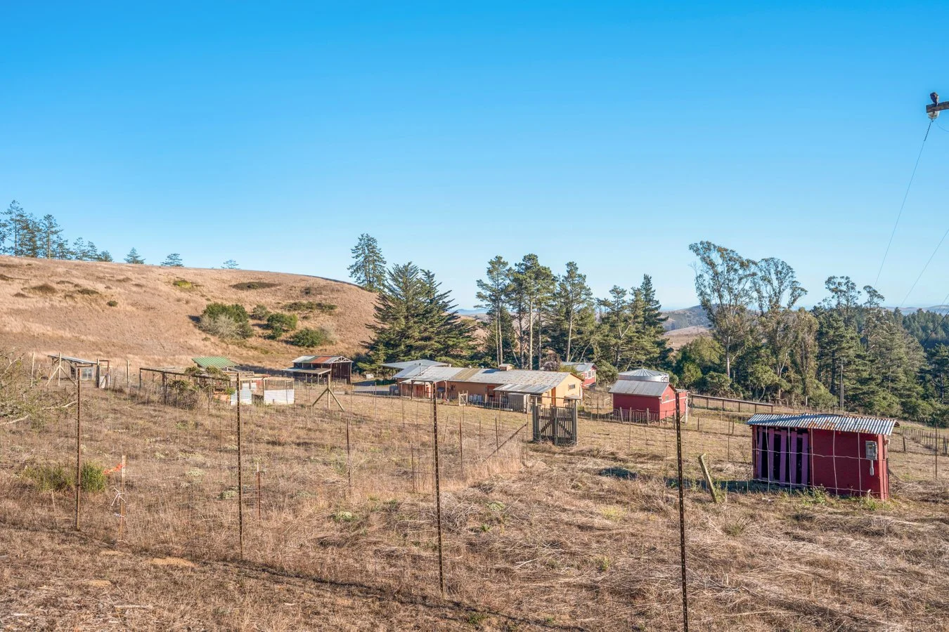 Rural farm with small colorful sheds and fences, surrounded by trees and dry grass under a blue sky.