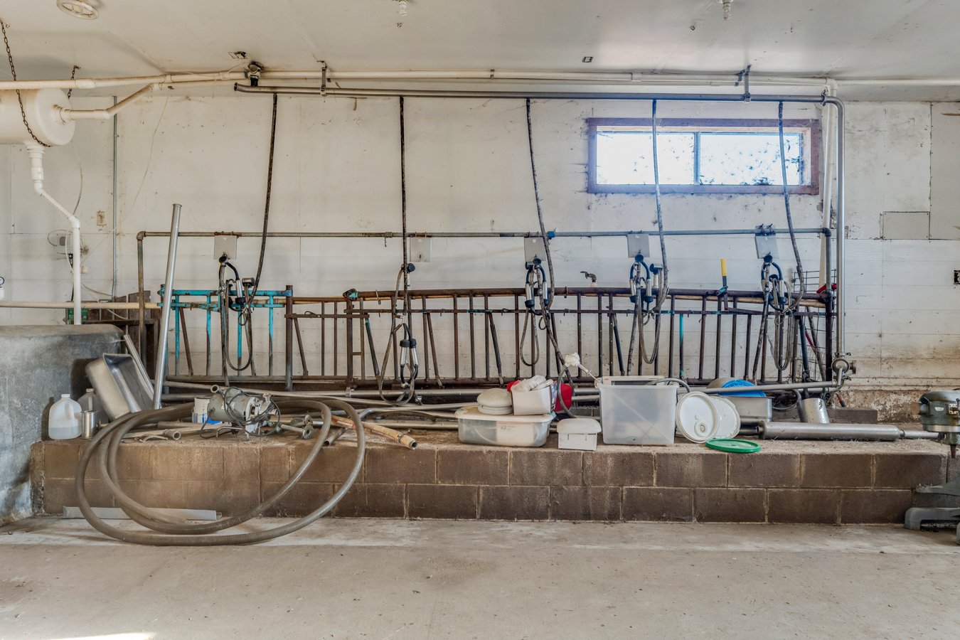 Abandoned milking station with old pipes, hoses, and containers, in a rustic barn or stable.