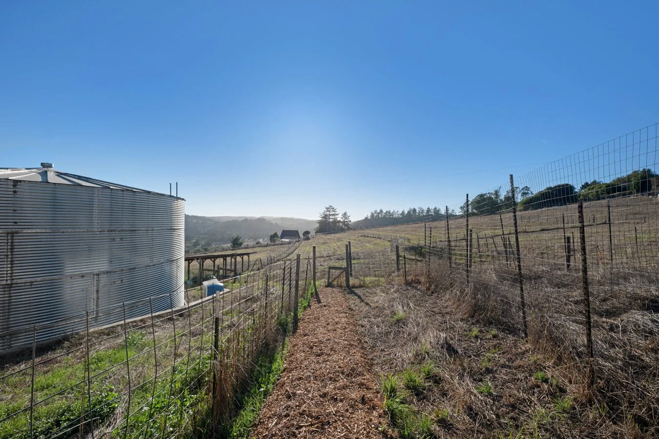 A rural landscape with a dirt path leading up a hillside, fenced with wire fencing, a large metal water tank on the left, and a clear blue sky overhead.
