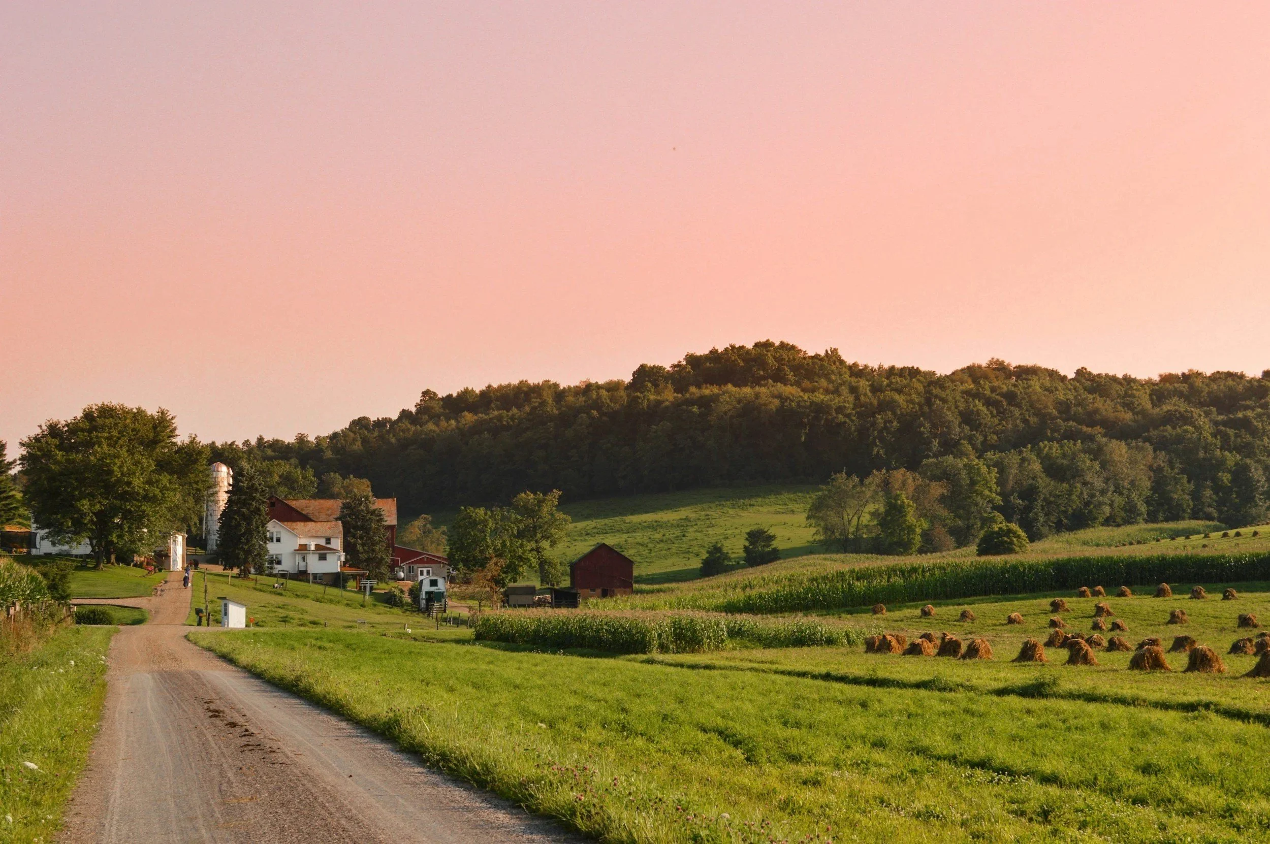 How to Find a Rural Real Estate Agent in Ontario: A Complete Guide to Buying a Country Home, Hobby Farm or Acreage Property With Confidence