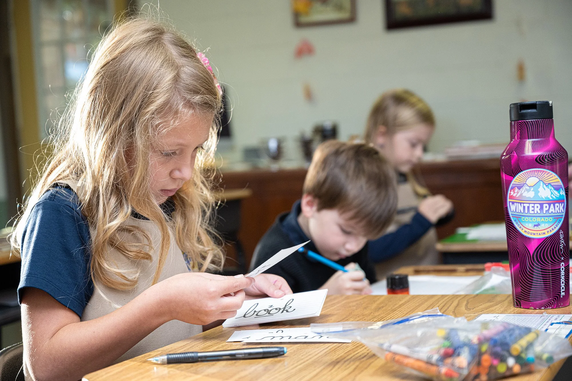 Wisdom &amp; Truth Classical Academy photo