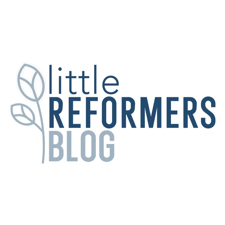Little Reformers Blog logo: a blue leaf