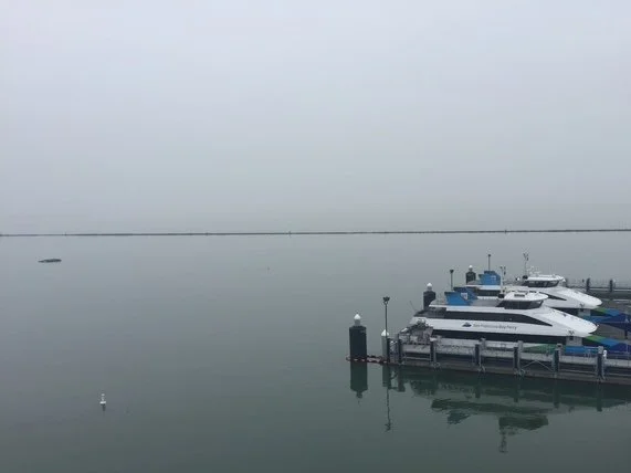 CentralBayCalm.png