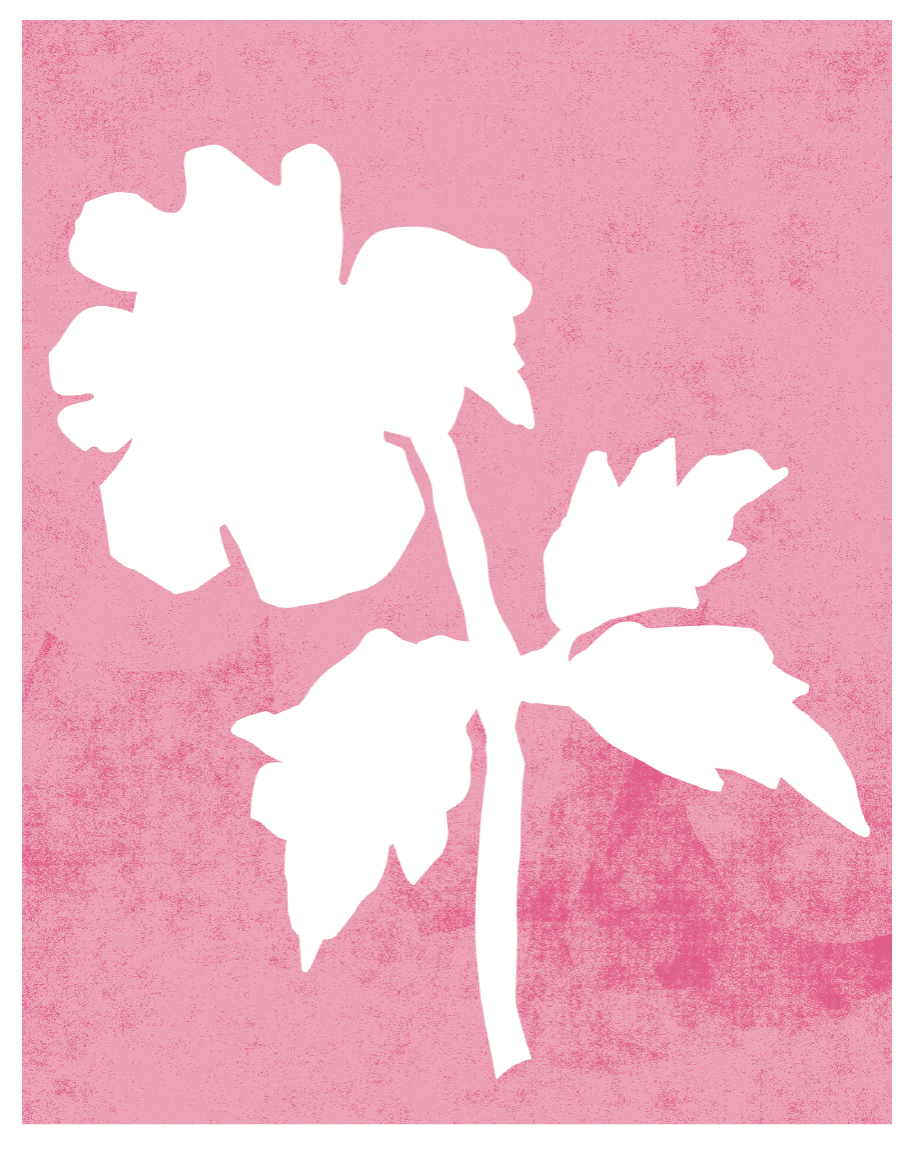 website botanical_hibiscus.png