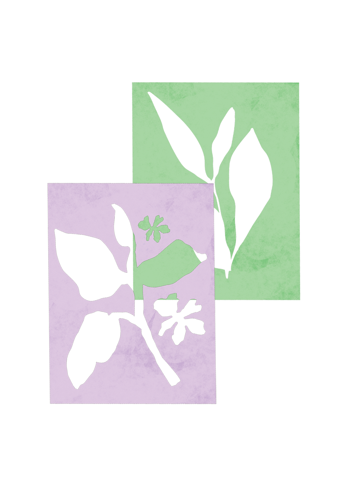 Mixed Box