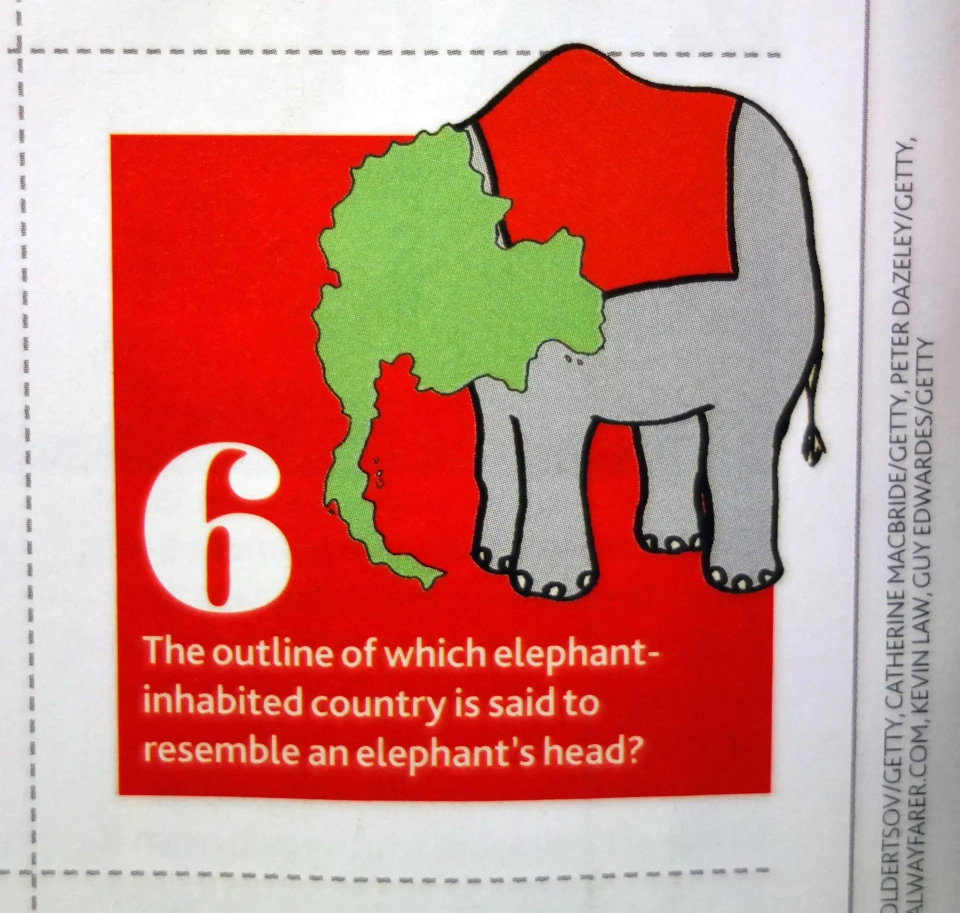 Digital artwork vector of the stylised elephant and green canopy illustration created for Thailand travel feature.