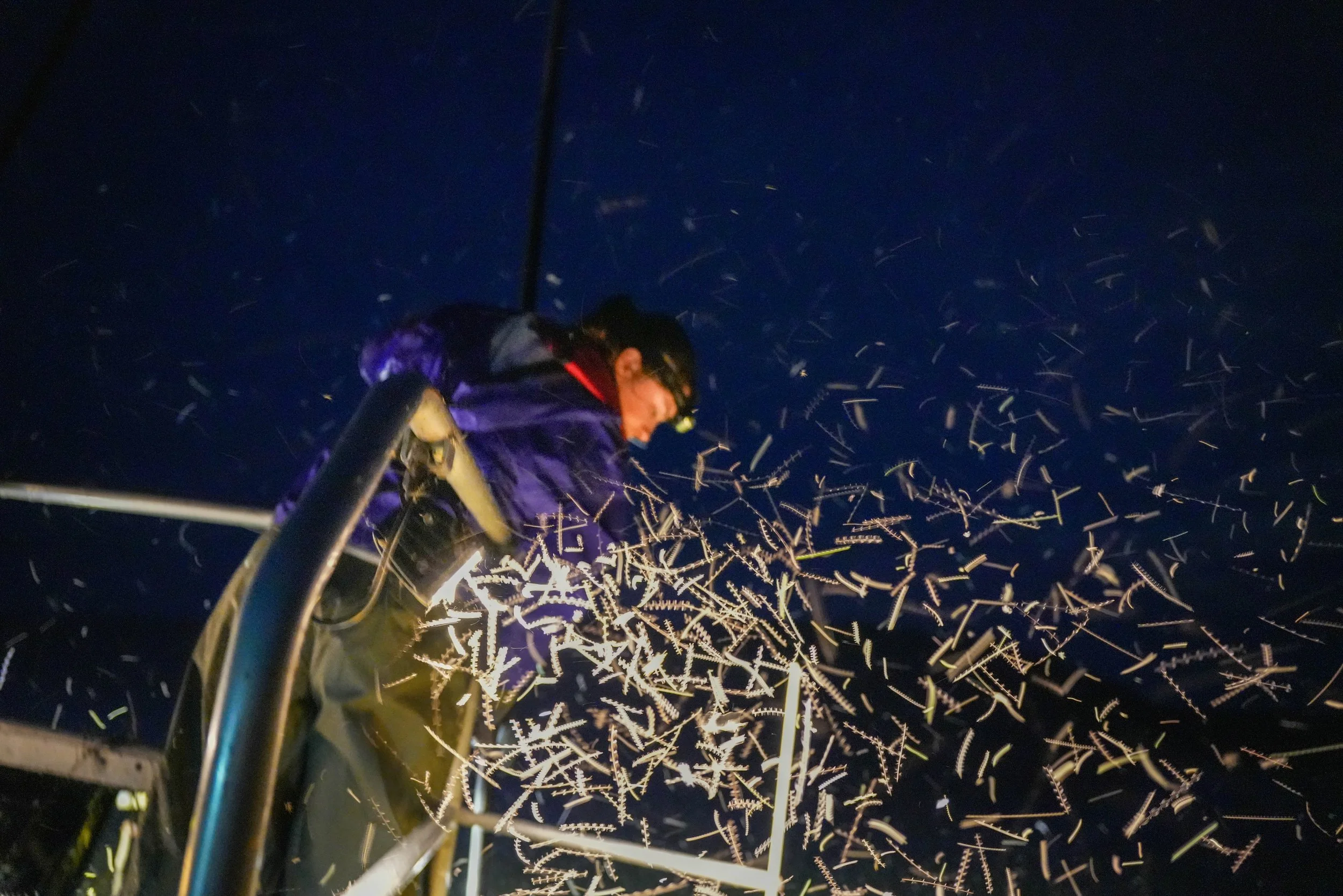 A researcher working on a boat late at night, insects swarm around the researcher's headlamp.