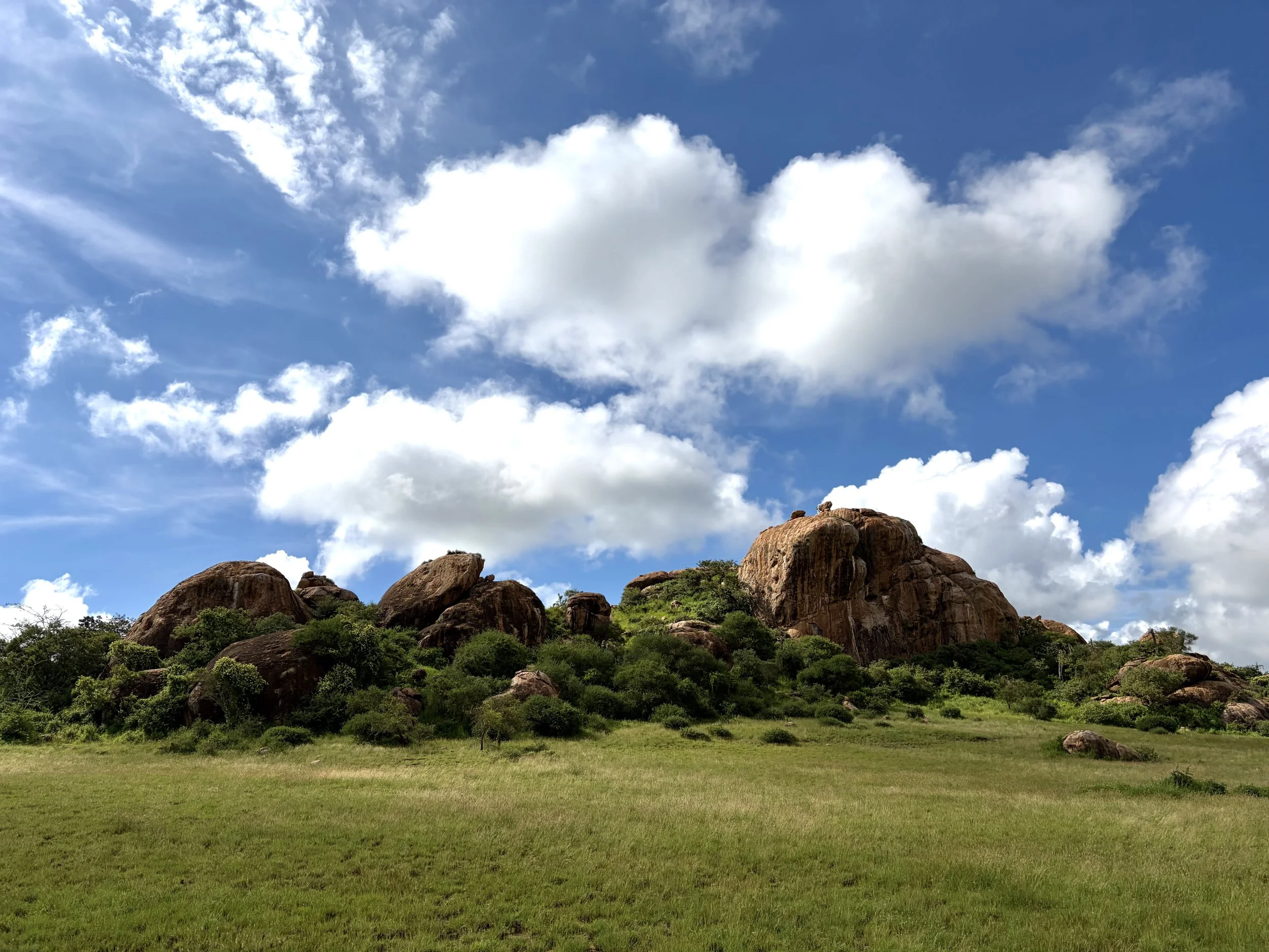 A landscape scene with green grass, large rocky formations at the bottom, and scattered bushes and trees. The sky above is bright blue with large fluffy white clouds.