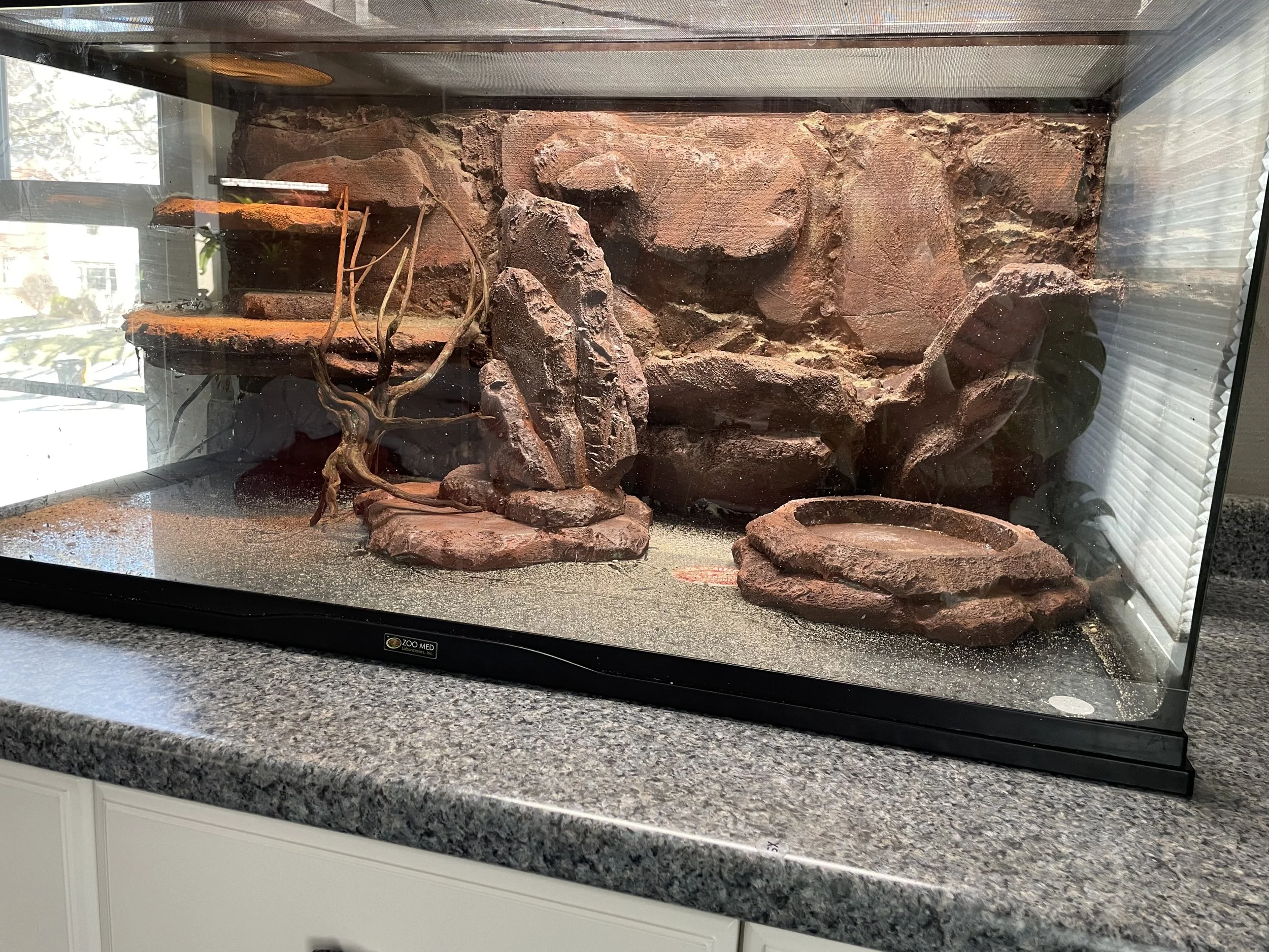 A glass terrarium with a custom foam background that looks like rusty red rocks with sticks and lighting.