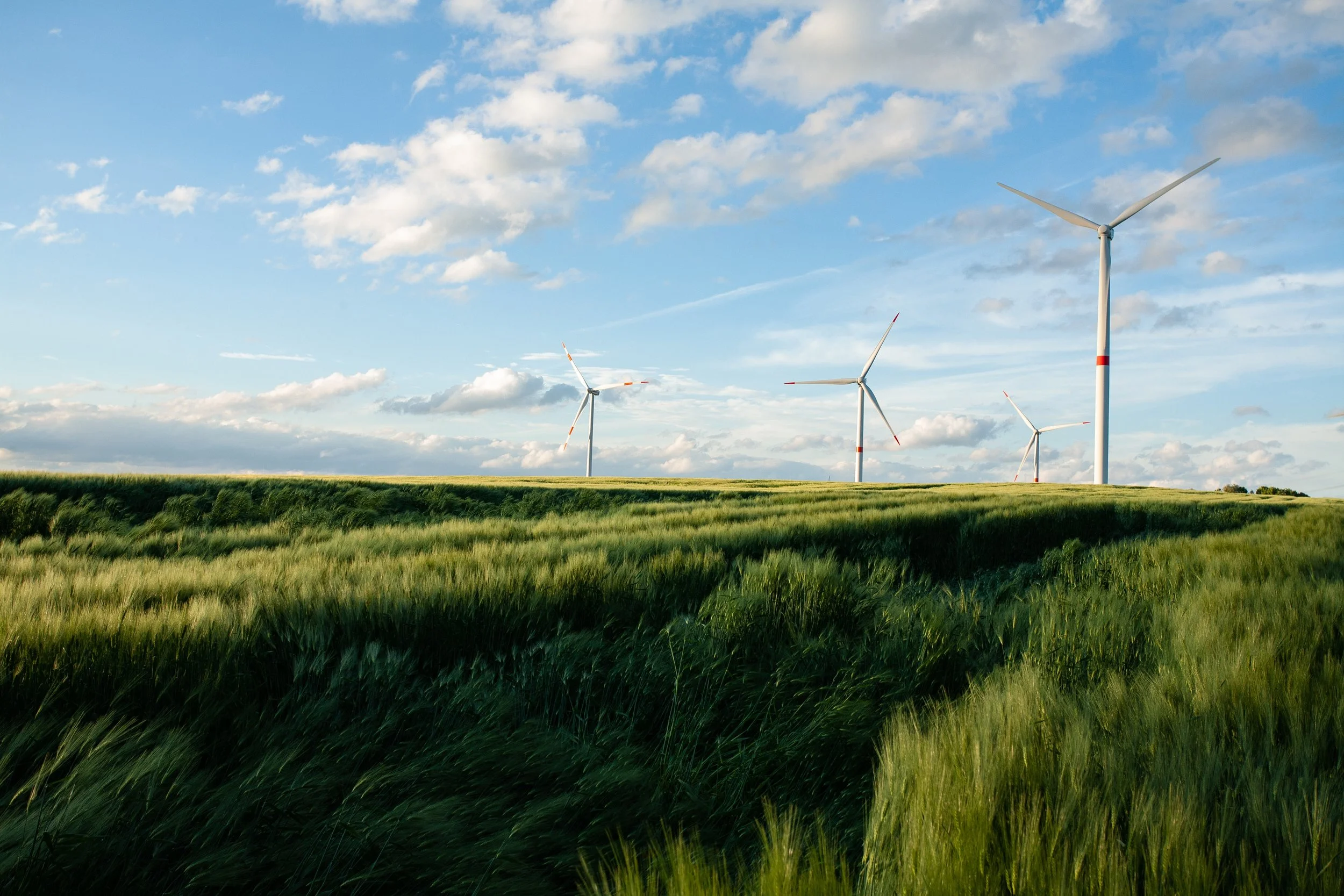 A landscape view of a green field with tall grasses, four white wind turbines with orange markings on the blades, and a partly cloudy blue sky.