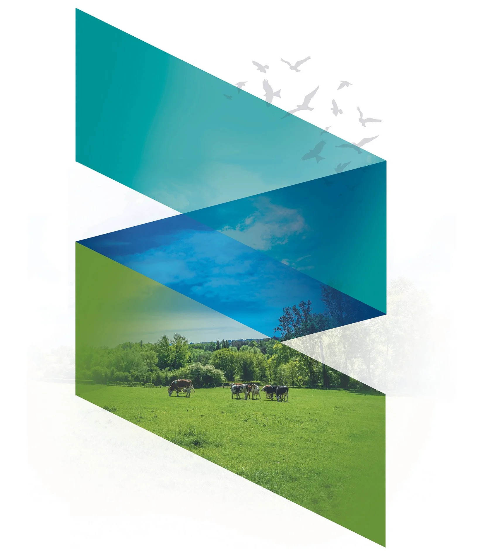 A landscape with a green field, trees, and cows grazing, overlaid with semi-transparent geometric shapes showing a blue sky, clouds, and flying birds.
