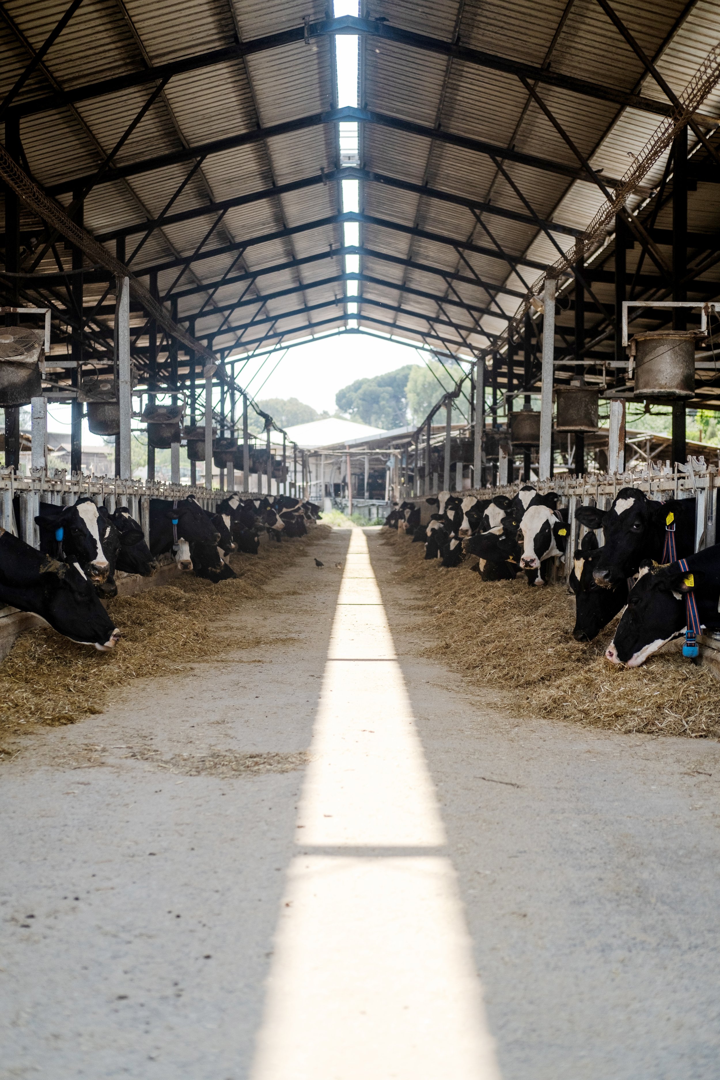 ENGLAND Pilot Dairy GHG TRACER