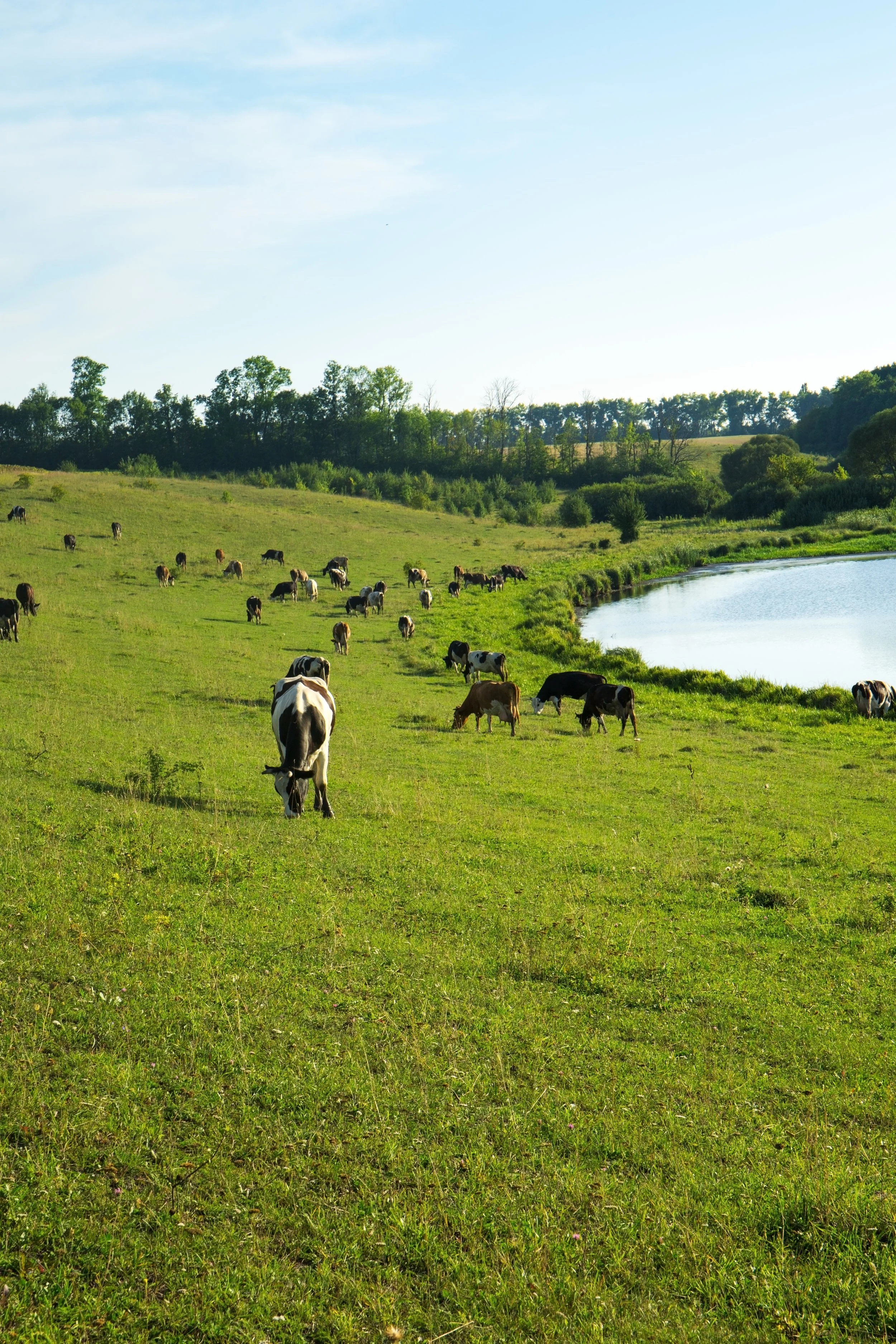 SLOVENIA Mixed Grassland Livestock Systems TRACER