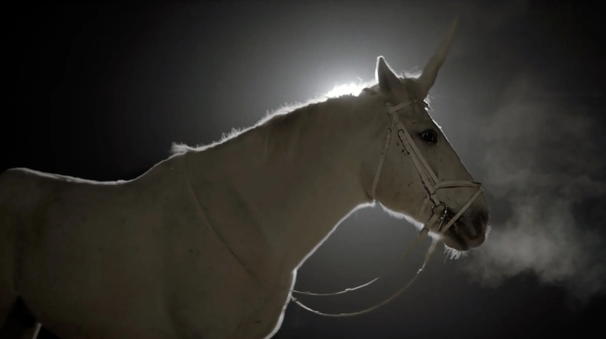The Unicorn