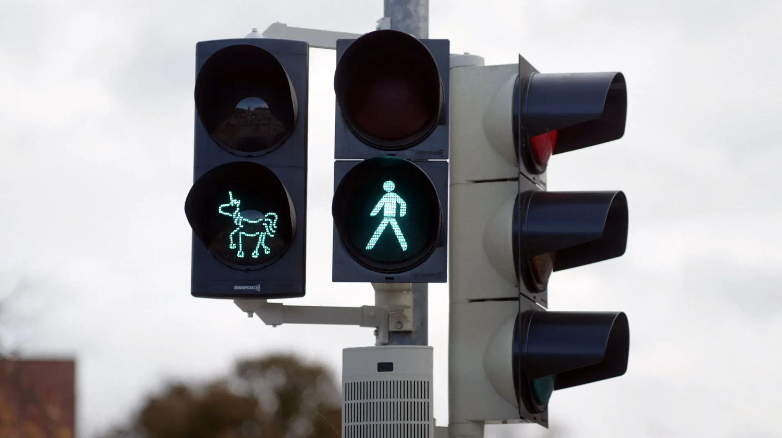 Ein Ampelmast mit grünen Fußgänger- und Tier-Signalen, in denen ein Mensch und ein Hirsch dargestellt sind.