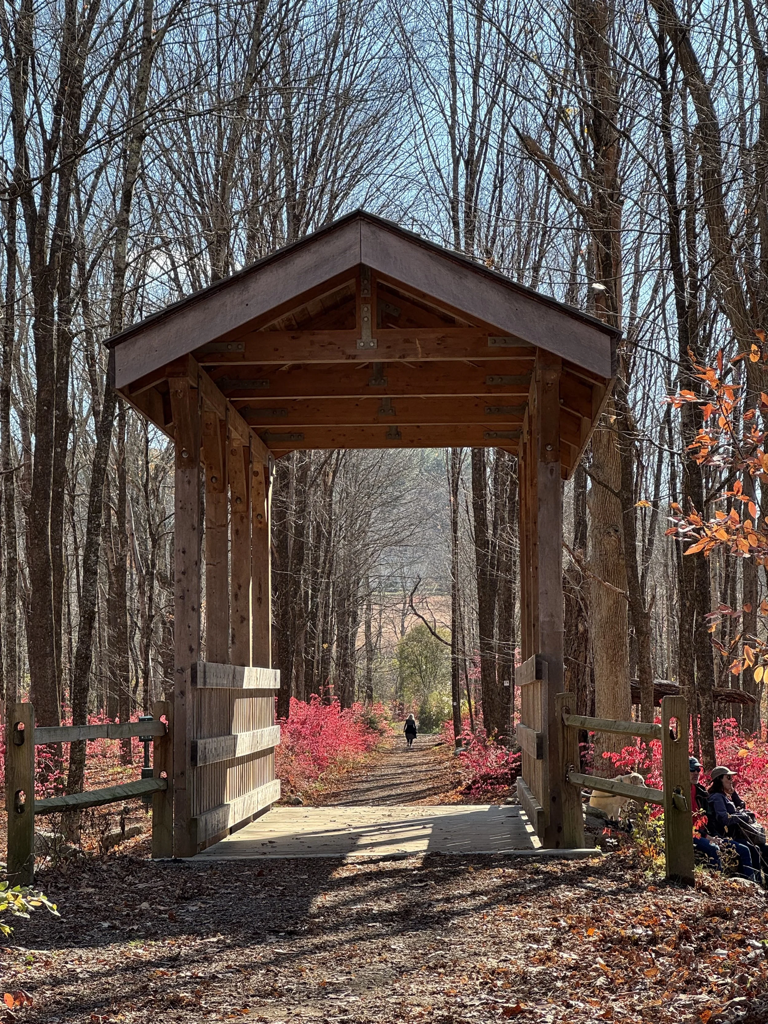 Covered wooden footbridge on a forest trail in autumn