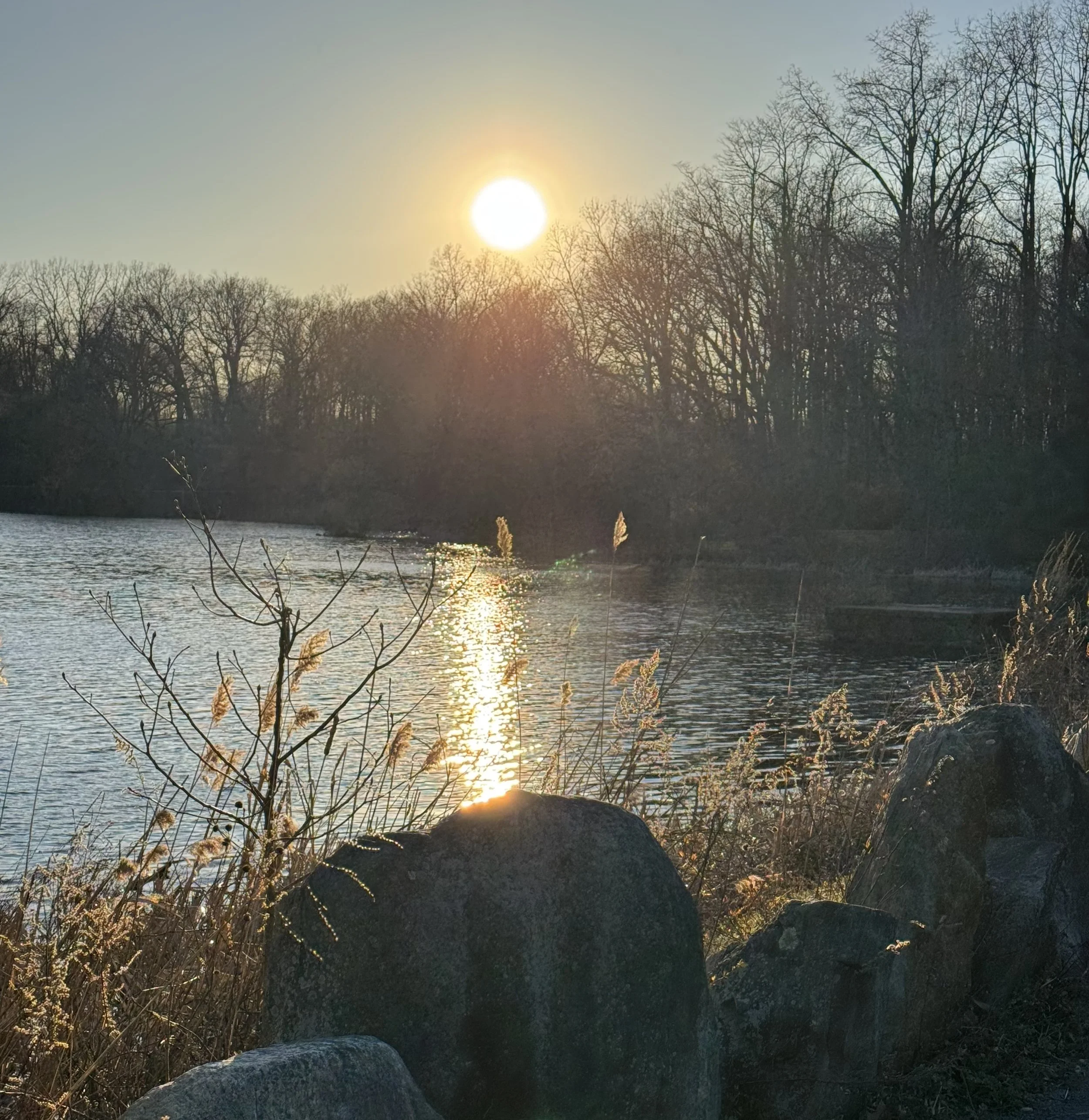 Sun setting over a pond, with rocks and tall grasses in the foreground