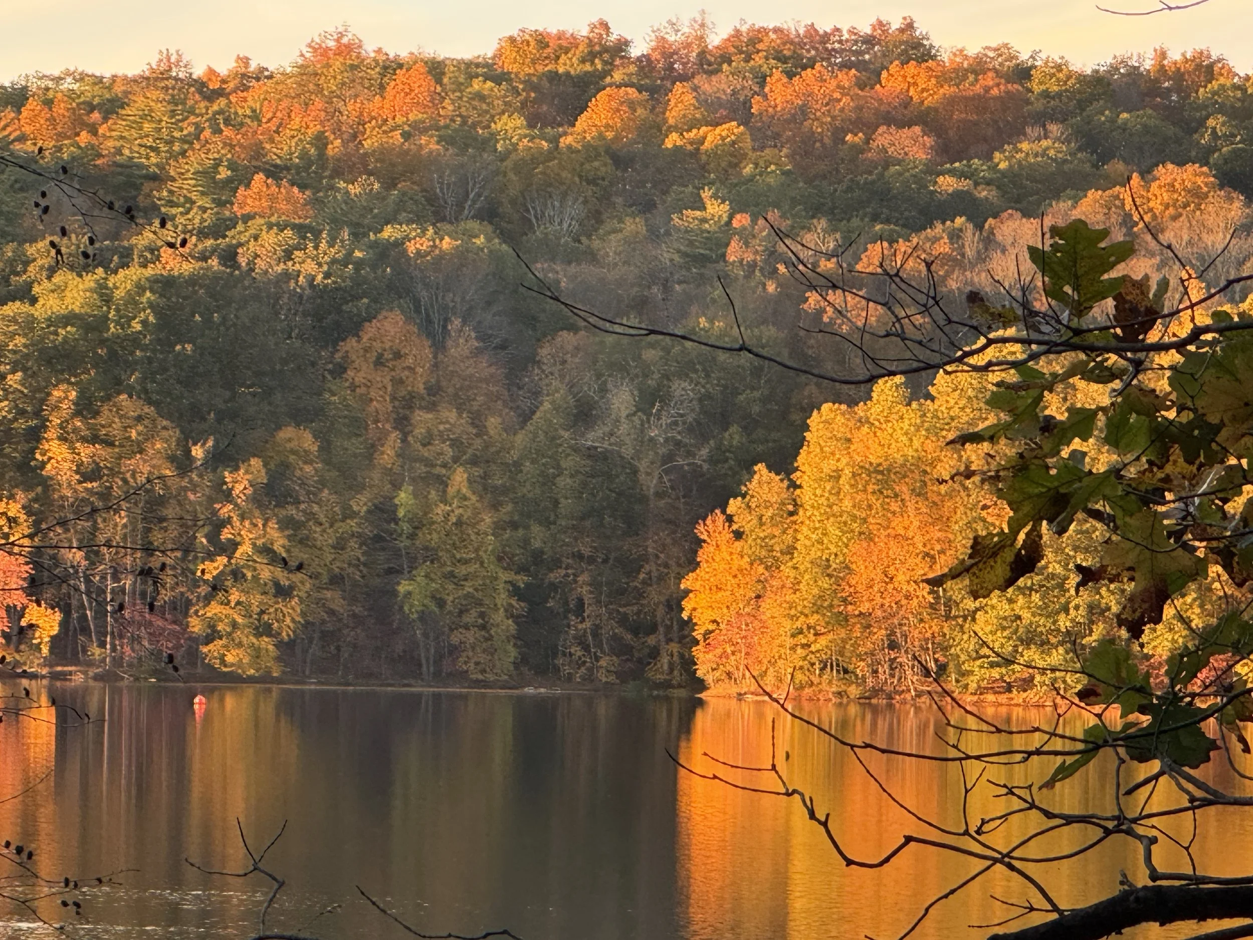 Autumn trees in orange and gold reflected in a still lake