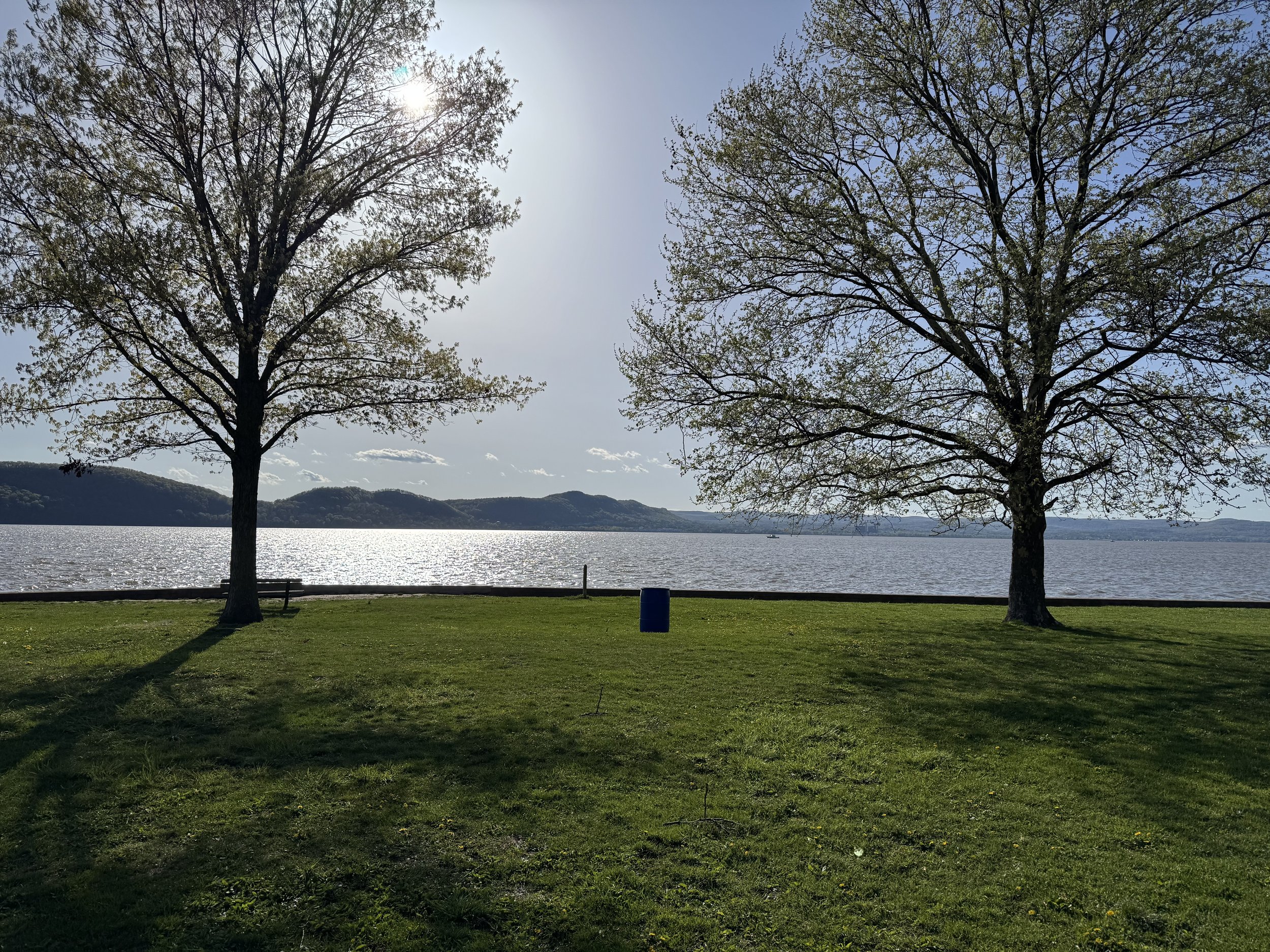 Two trees on a sunny lawn beside a shimmering lake