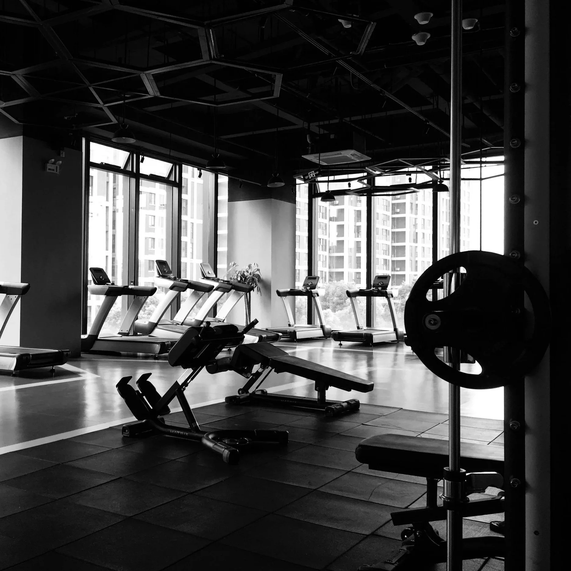 A gym with a row of treadmills facing large windows with a cityscape view. The gym has a black interior with ceiling lights and exercise equipment in the foreground.