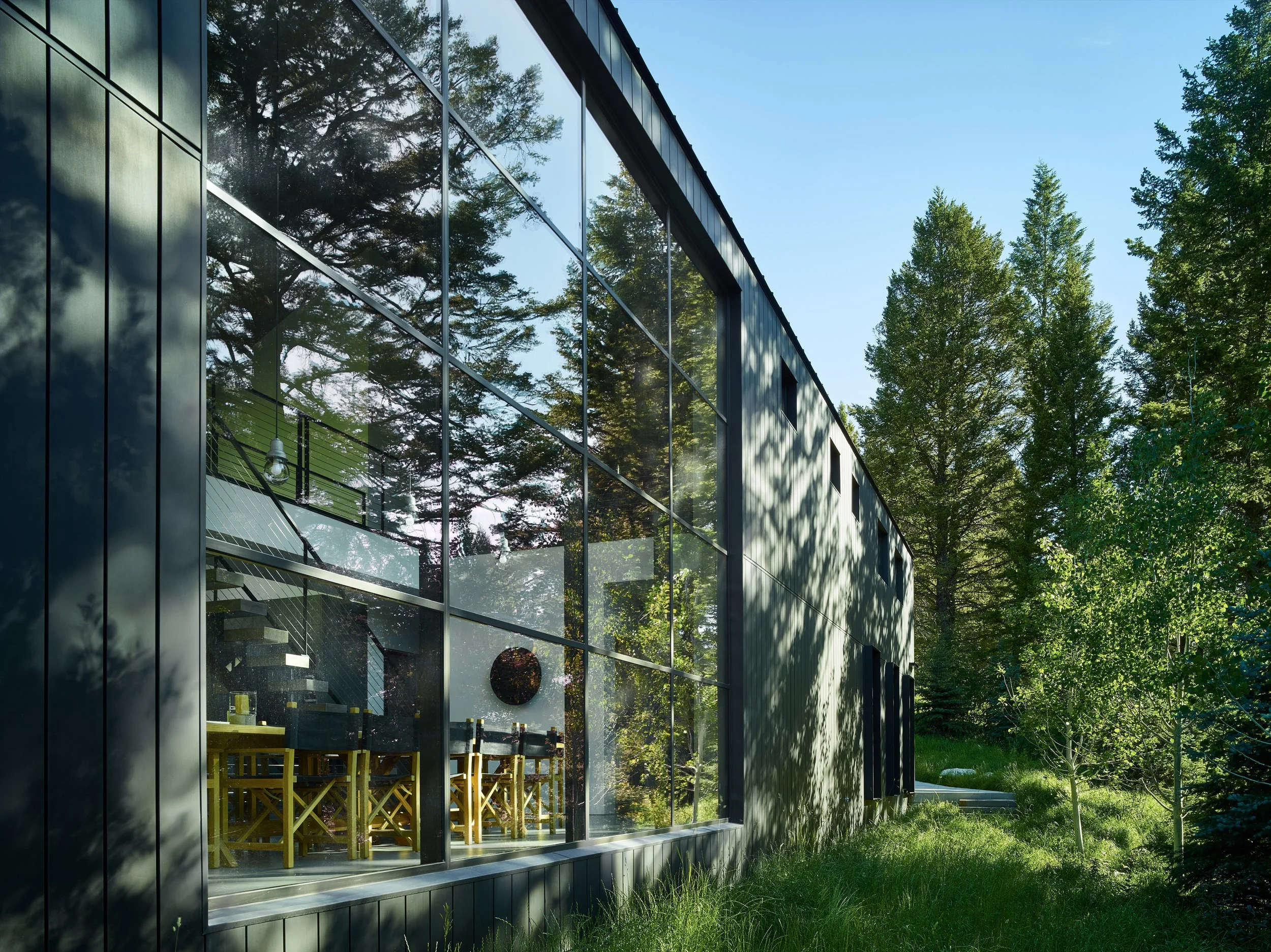 Glass and dark steel facade reflecting the pine trees