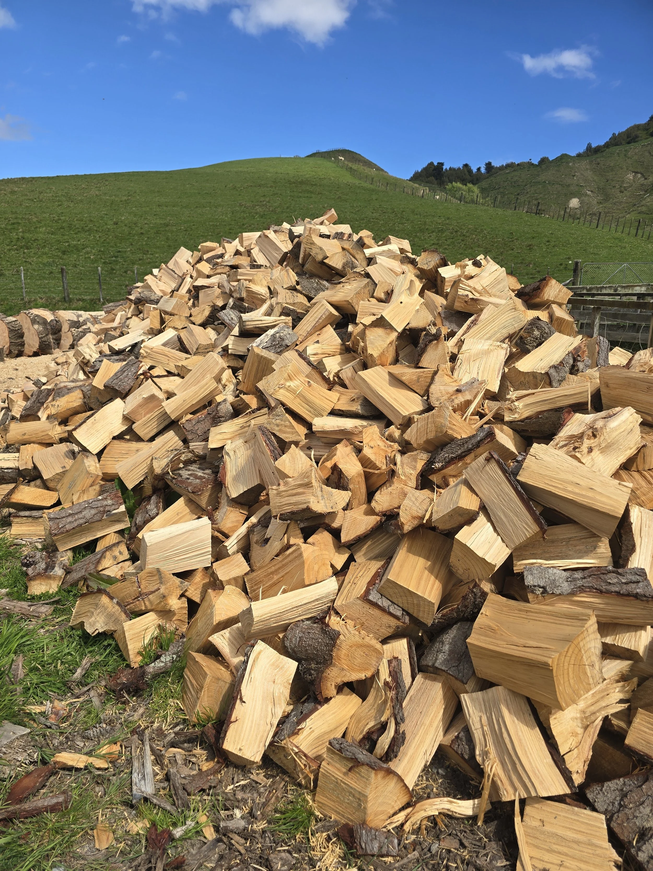 A large pile of chopped firewood logs on the grass beside a wooden fence, with green hills and a blue sky in the background.