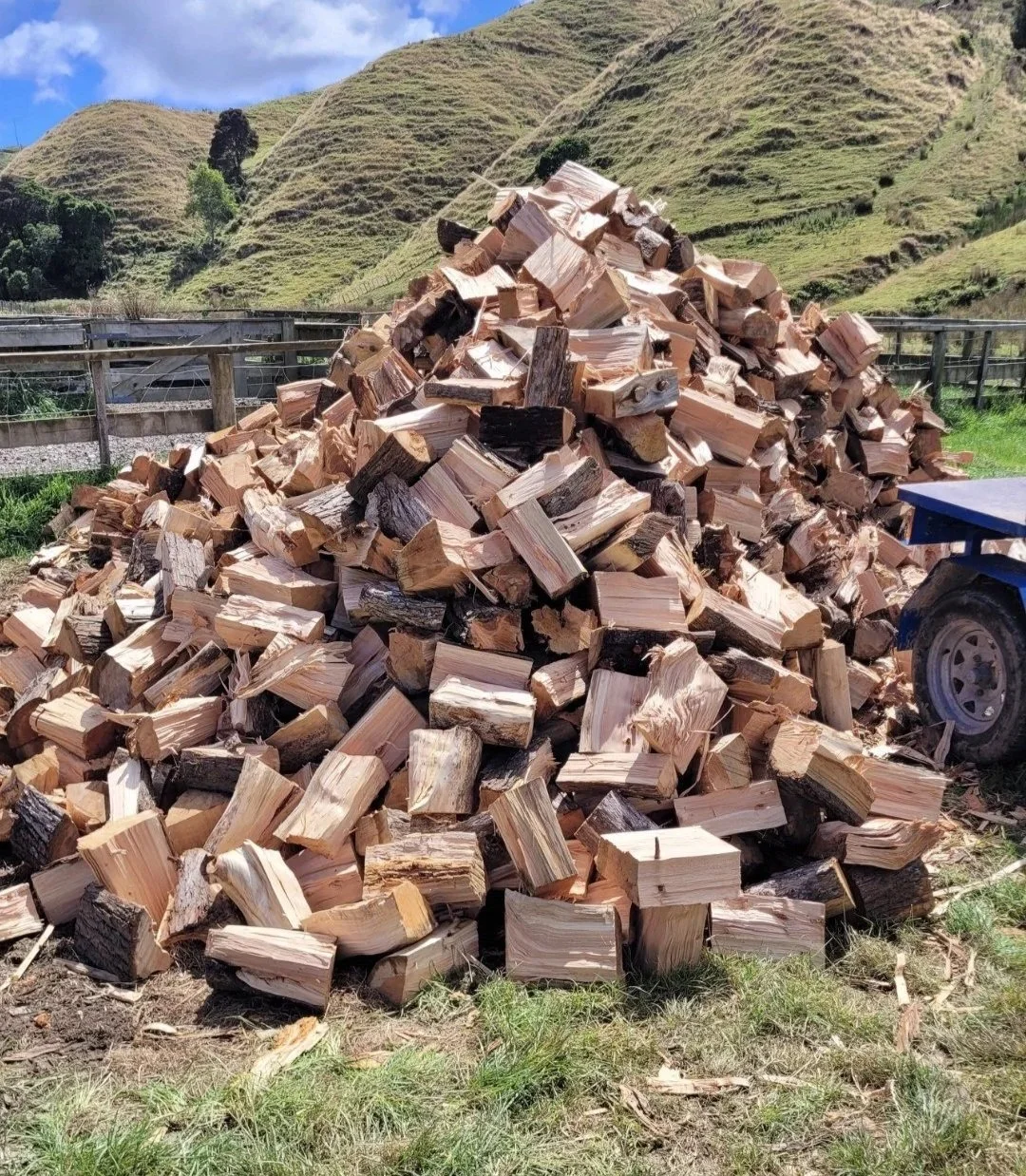 A large pile of chopped firewood stacked outdoors on grassy ground, with rolling green hills and a blue sky with some clouds in the background.