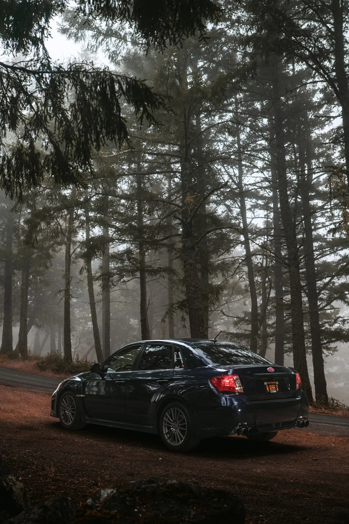 A black car parked on a dirt road in a foggy forest with tall trees.