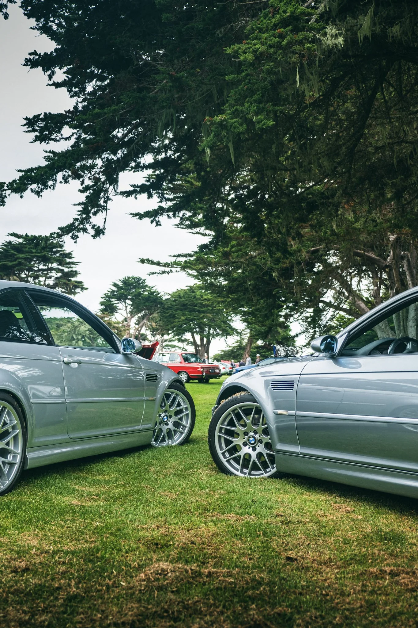 Two silver BMW cars parked on a grassy area, with a background of tall, dense green trees and parking lot. Overcast sky.