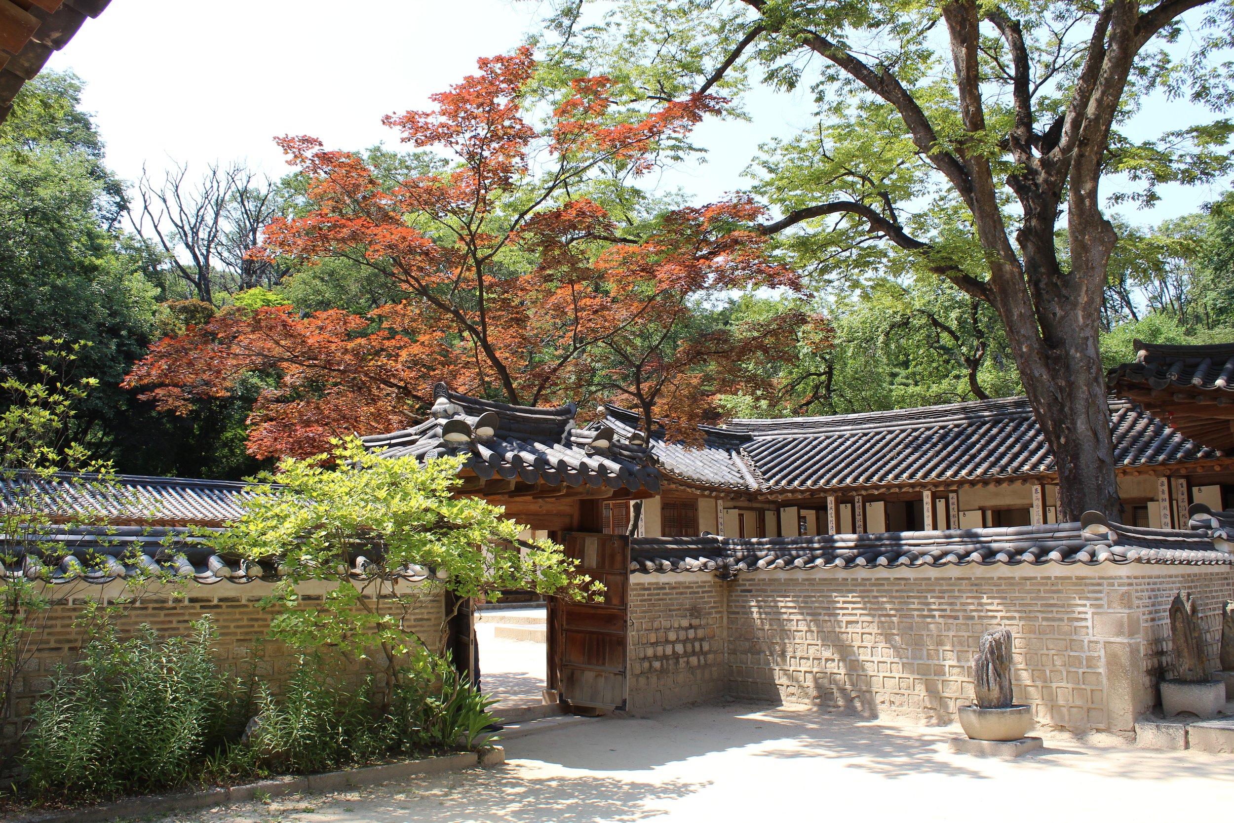 Traditional Korean house with stone brick walls and tiled roof surrounded by trees, including a vibrant red maple and a large green tree, under a bright sky.