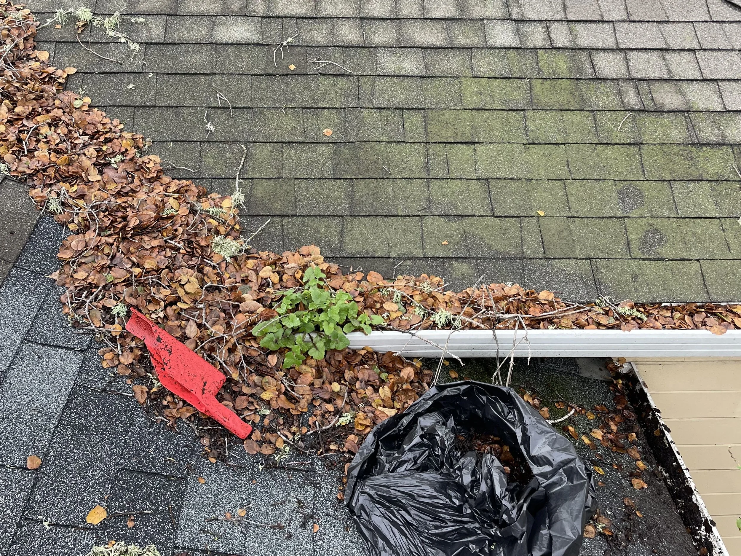 Gutter Cleaning