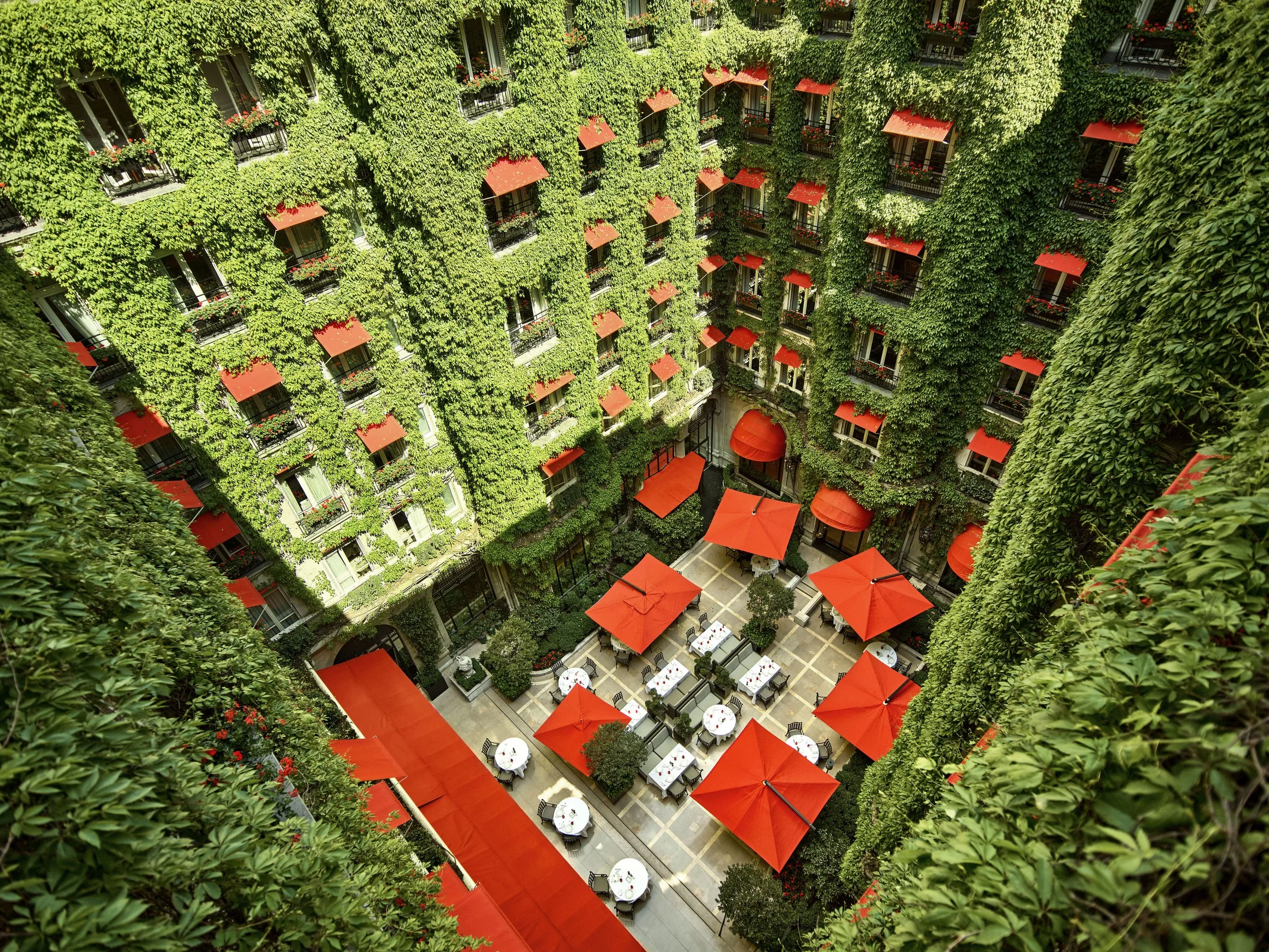 Hotel-Plaza-Athenee-La-Cour-Jardin-restaurant-view.jpg