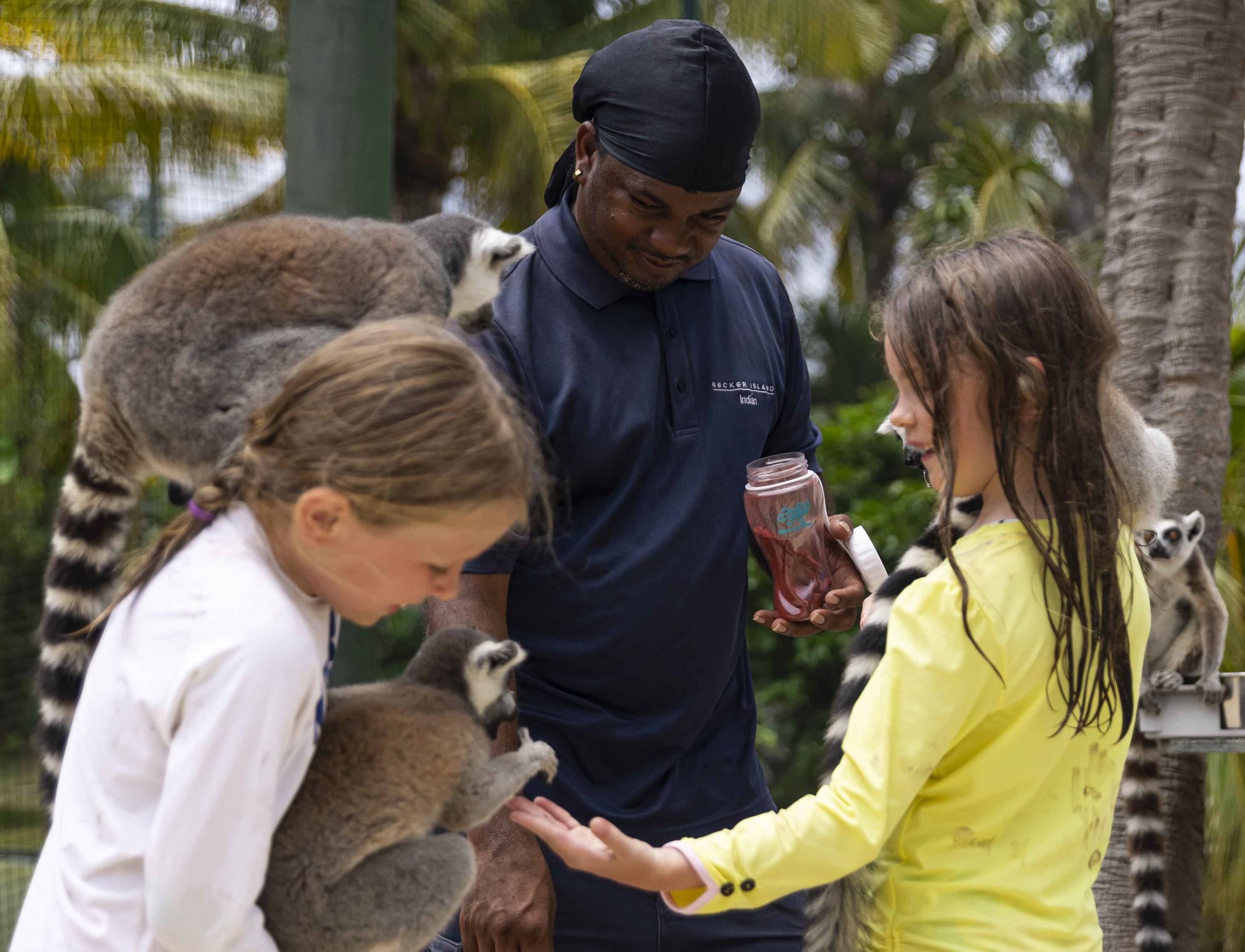 necker-island-necker-squids-with-lemurs-1.jpg
