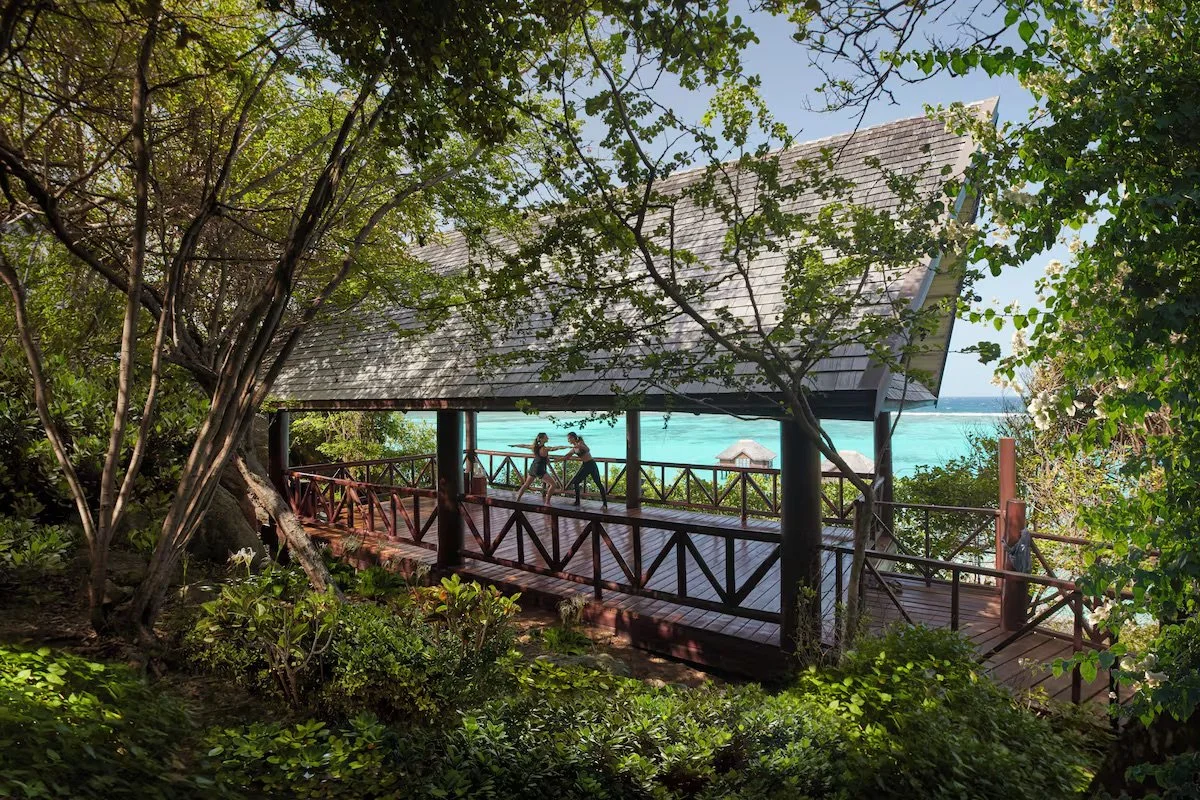 86819fda.jpg