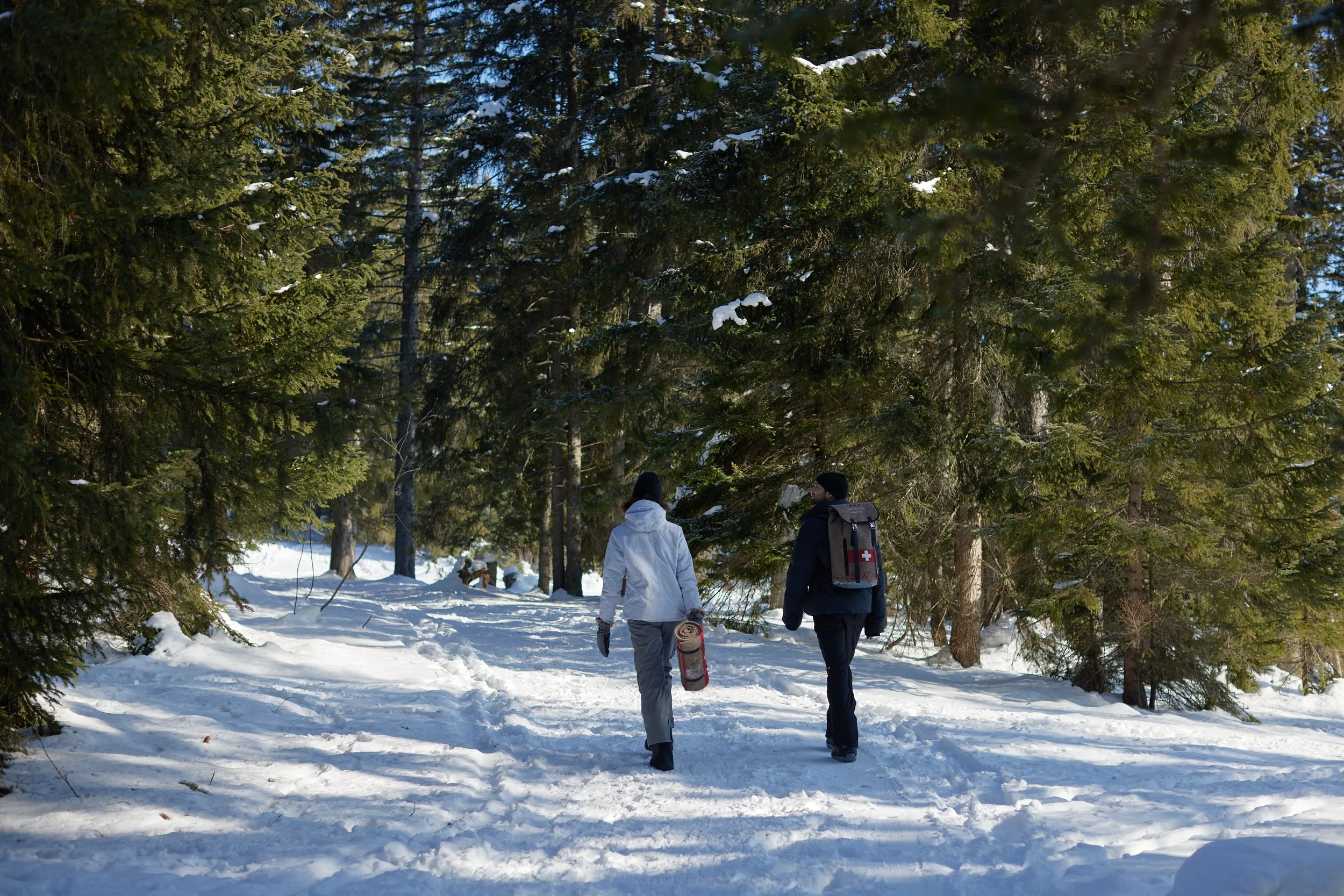43-winter-woodland-walk.jpg