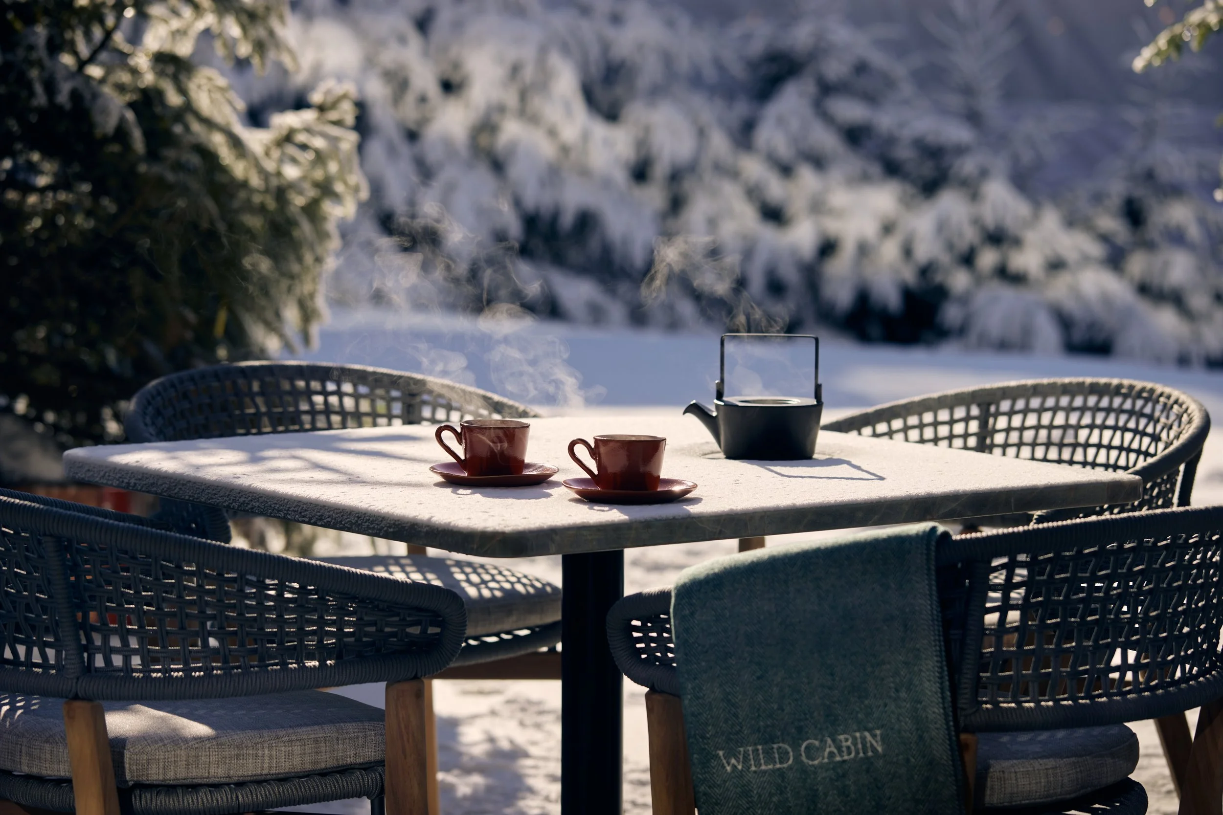 18-wild-cabin-terrace.jpg