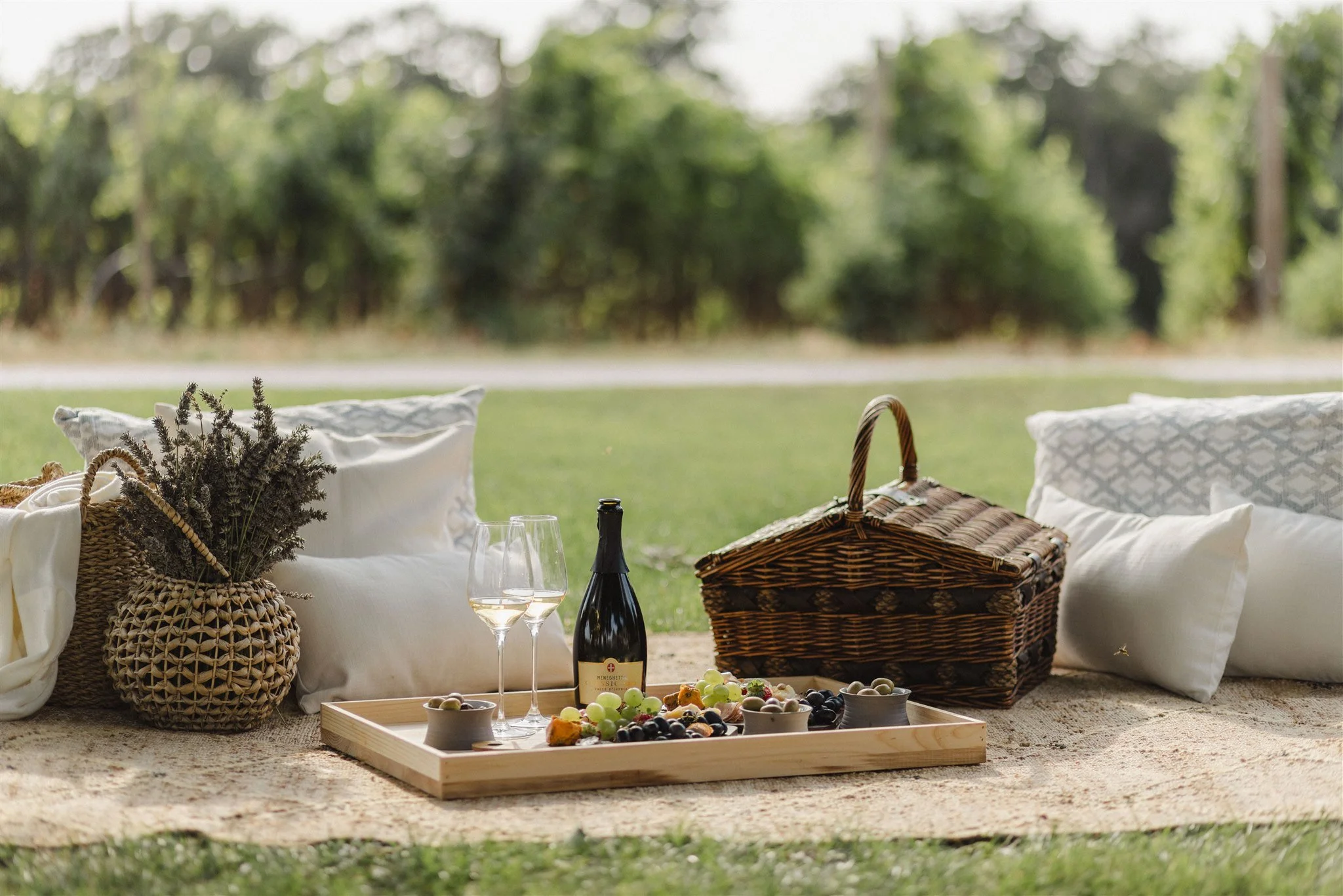 30-picnic-setting-beside-the-vineyard.jpg