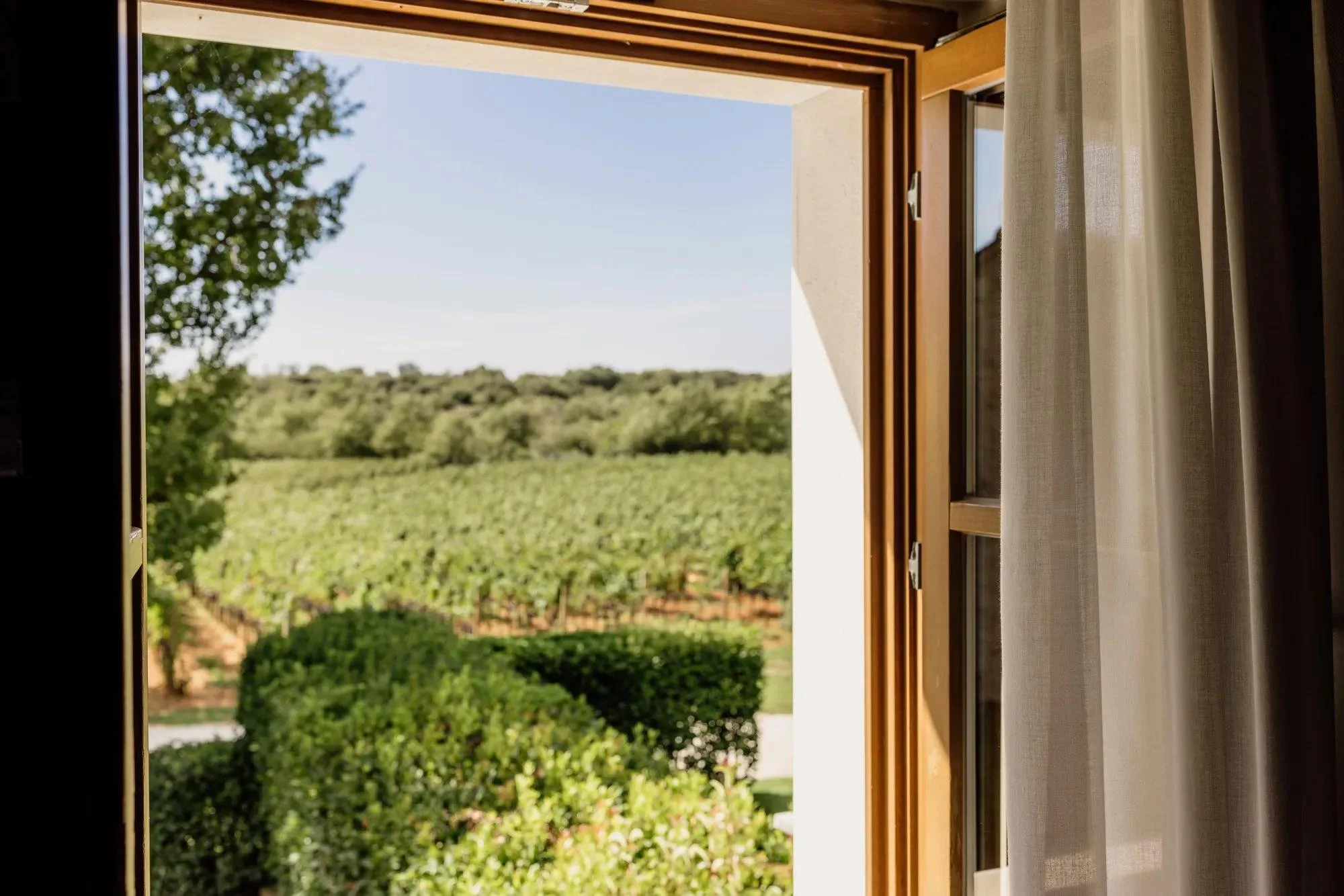 08-vineyard-outlook-from-a-vineyard-garden-residence.jpg