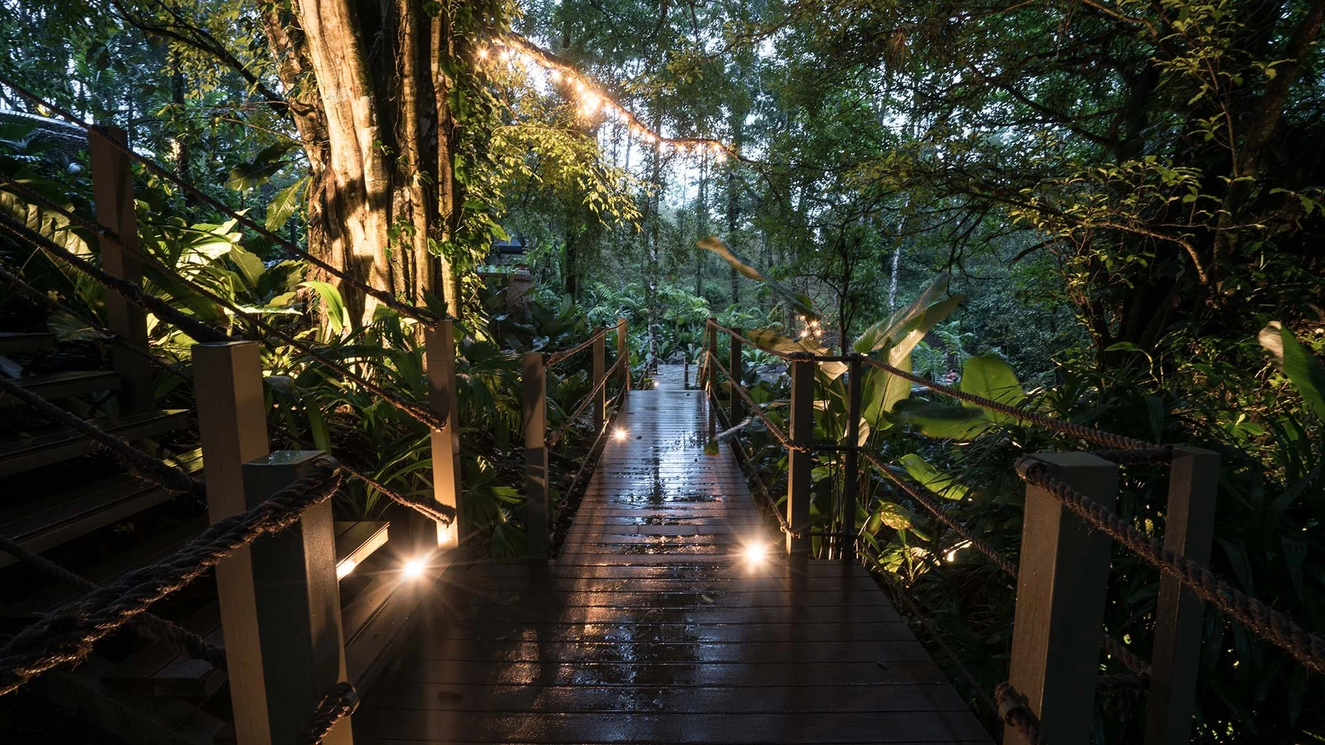 37-illuminated-walkway-through-the-grounds.jpg