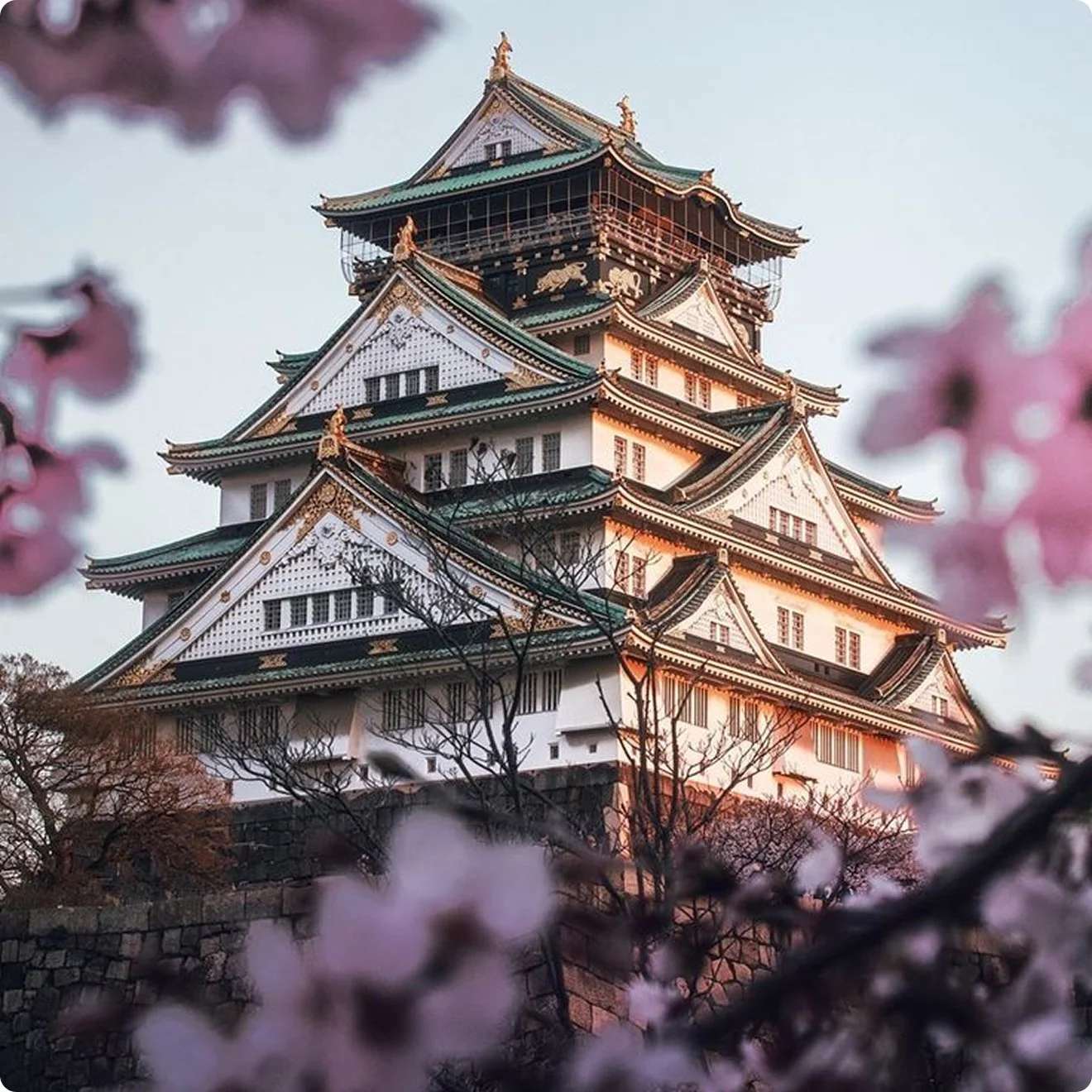 04-osaka-castle-framed-by-blossoms.jpg