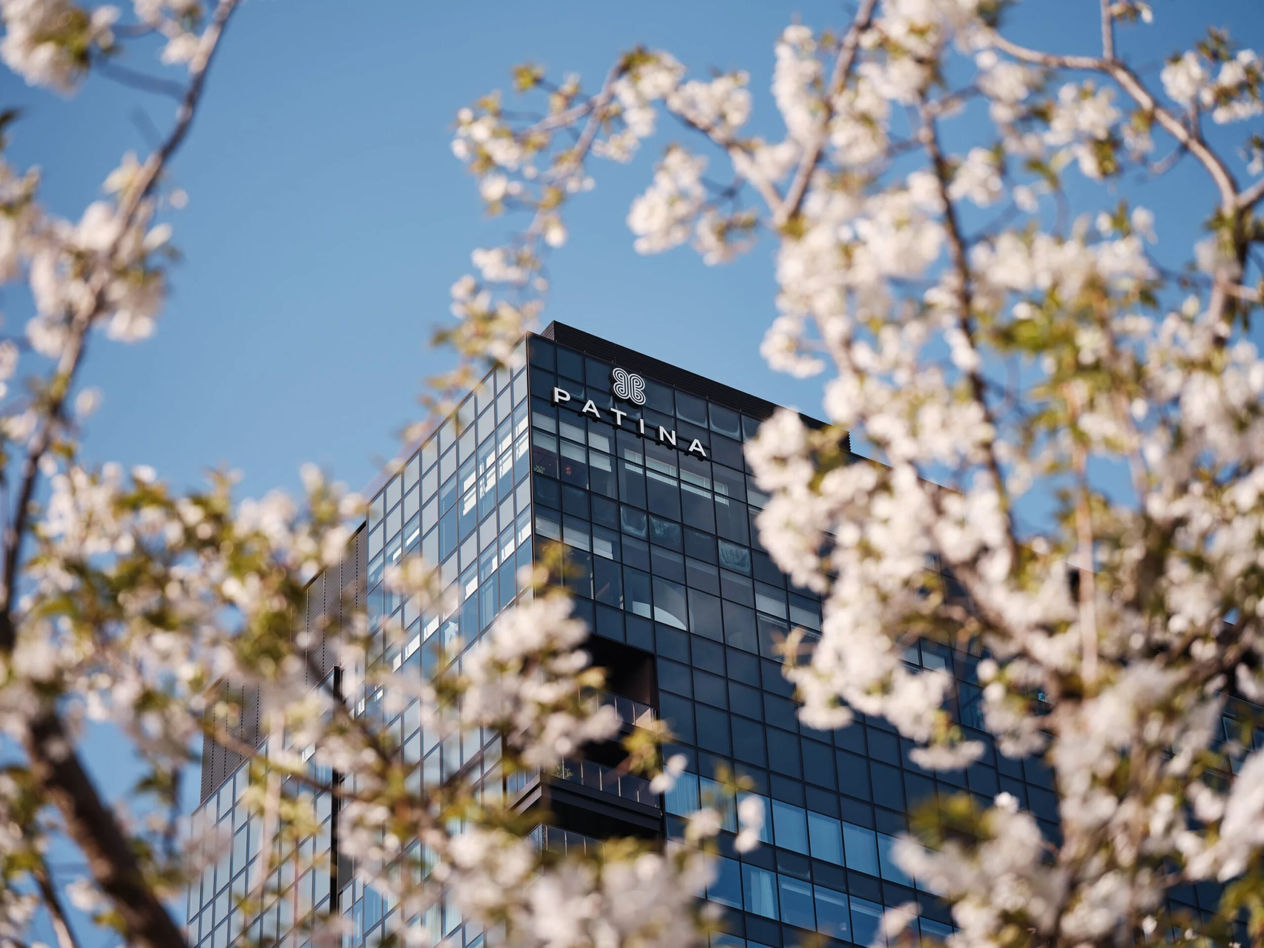 02-hotel-exterior-framed-by-cherry-blossoms.jpg