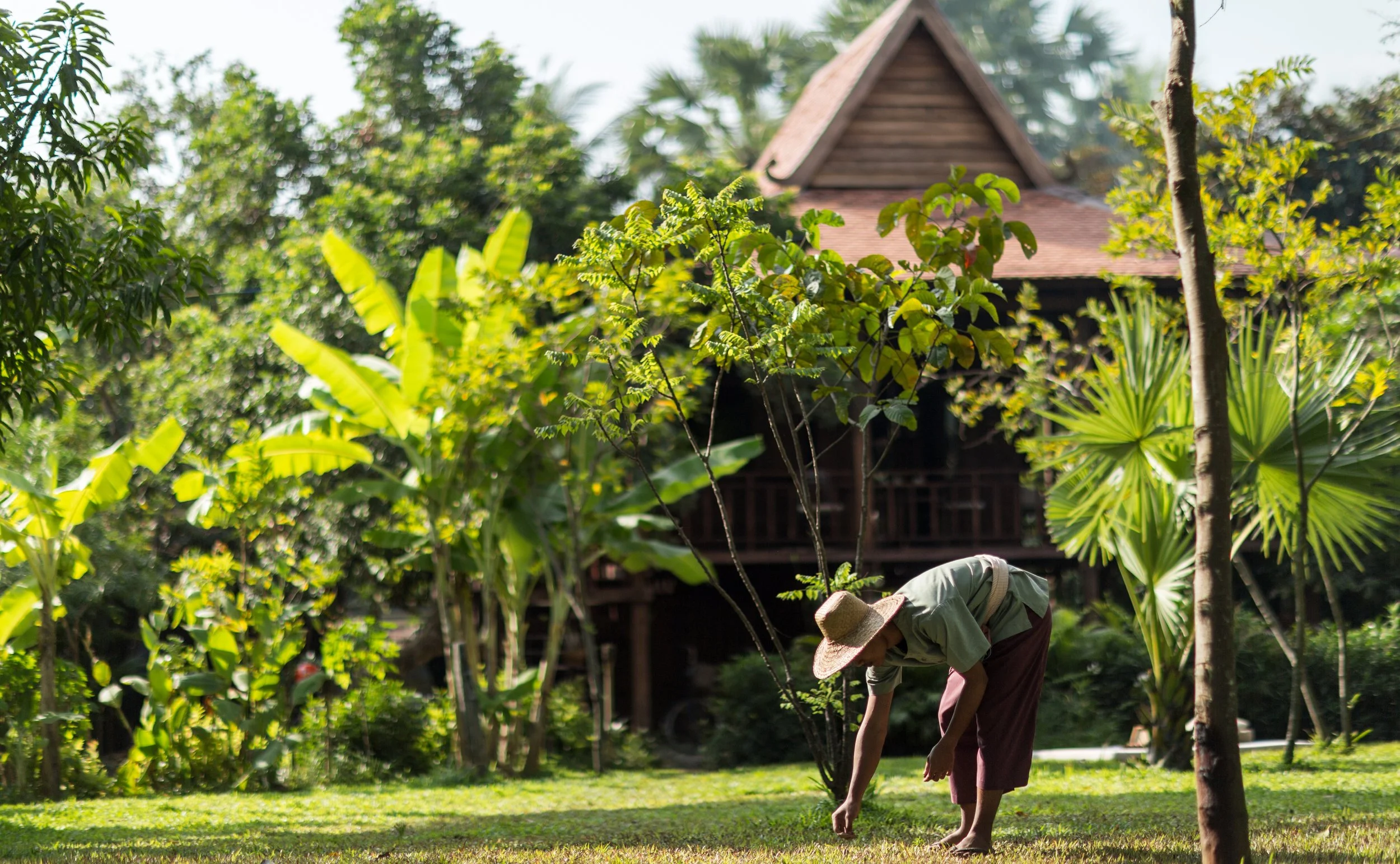 38-gardener-tending-planting-near-a-traditional-wooden-house.jpg