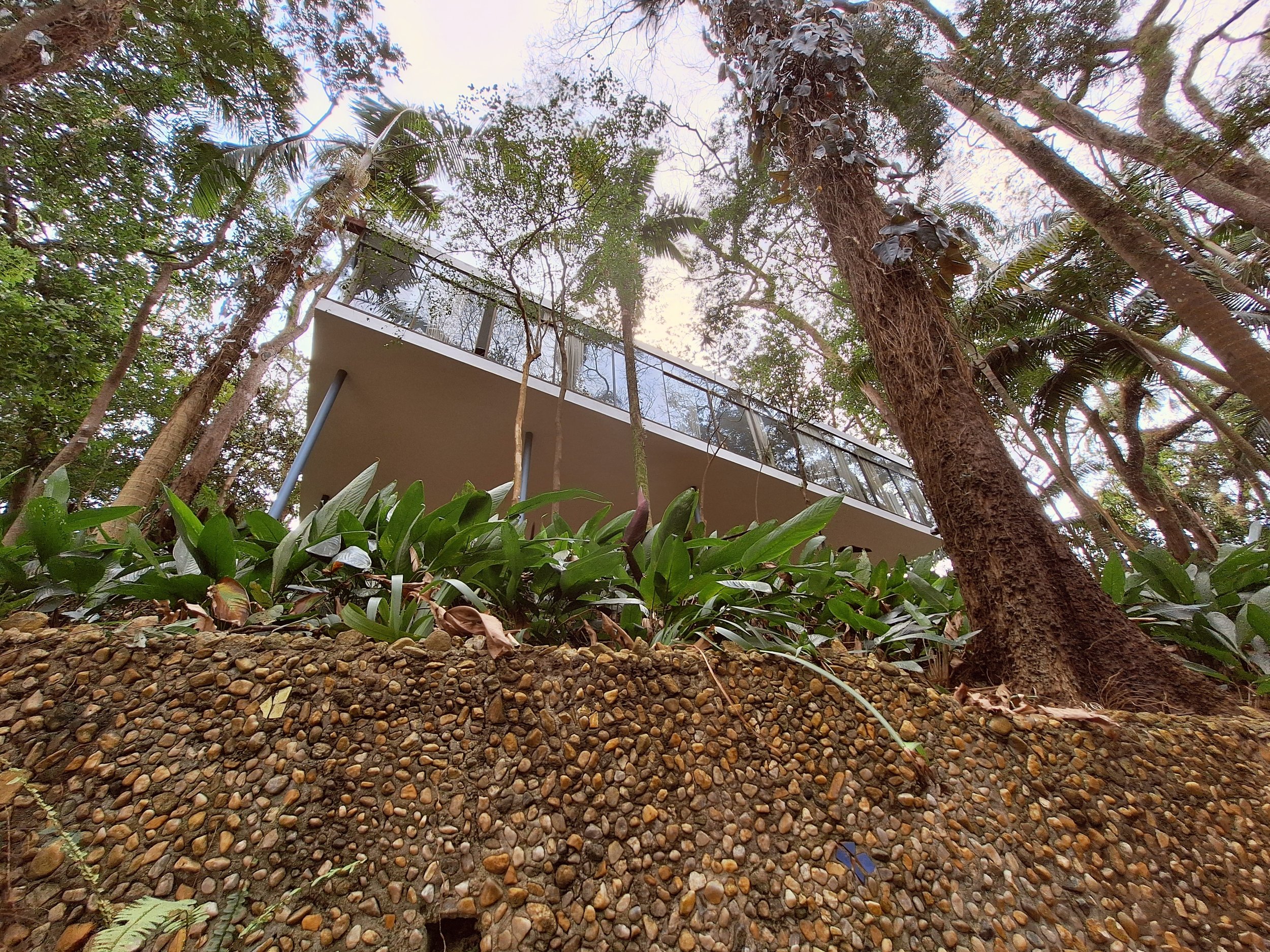 39-casa-de-vidro-in-morumbi.jpg