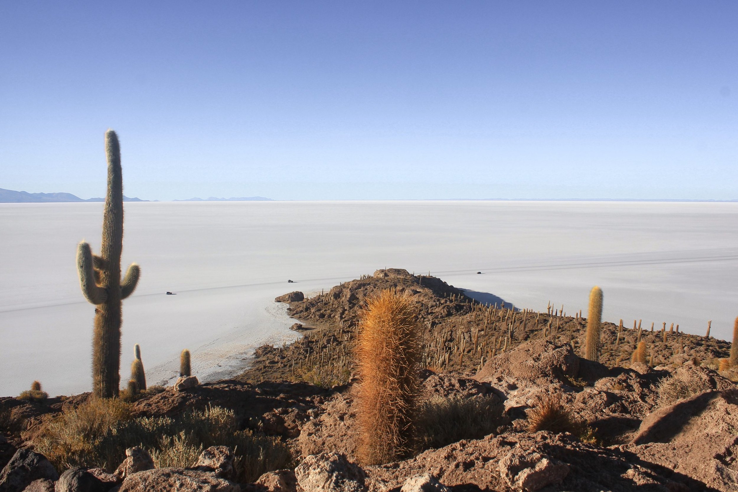 15-cacti-on-a-rocky-island-above-the-uyuni-salt-flats.jpg