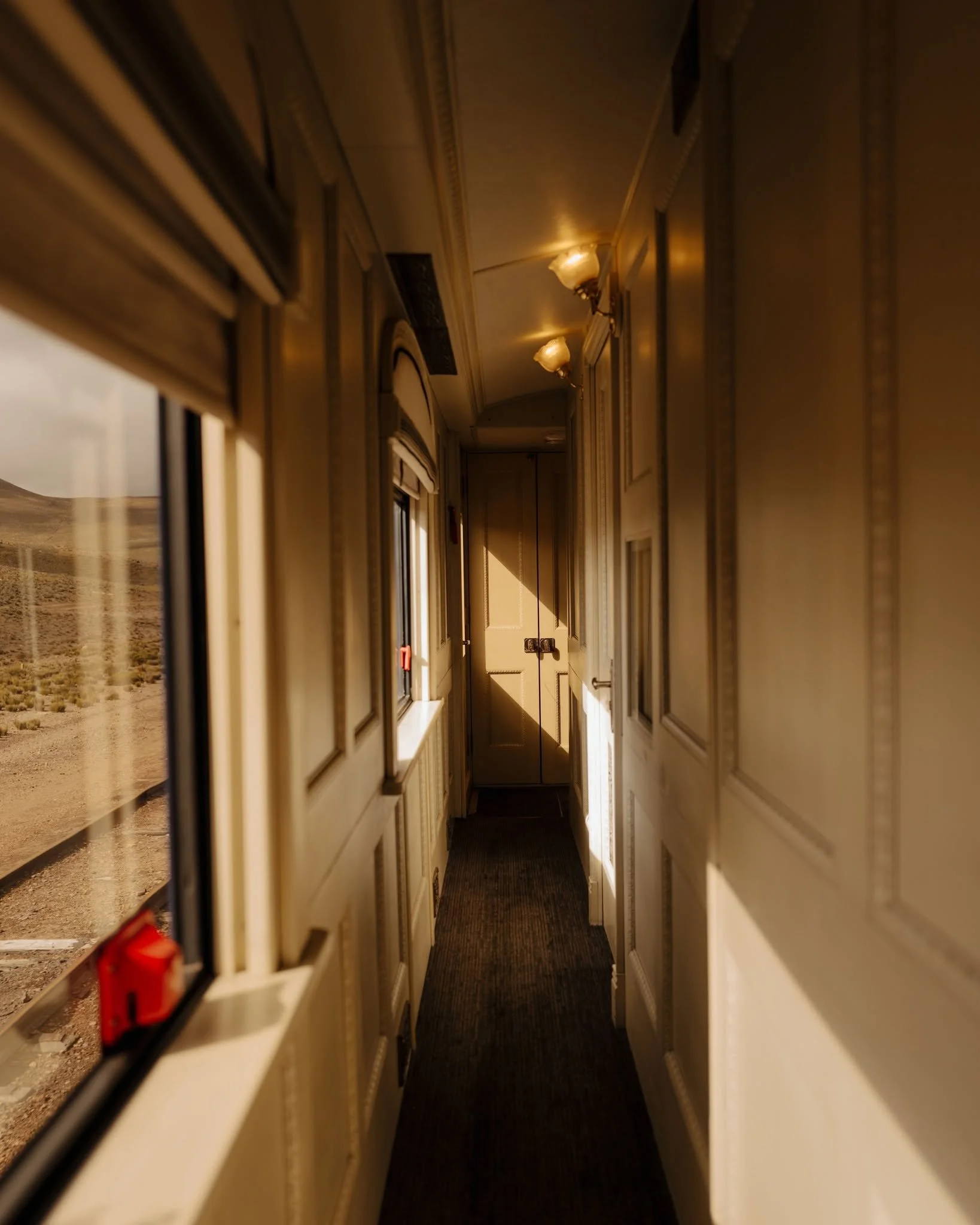 631020619_1306807271474657_9012045625597859401_n.jpg