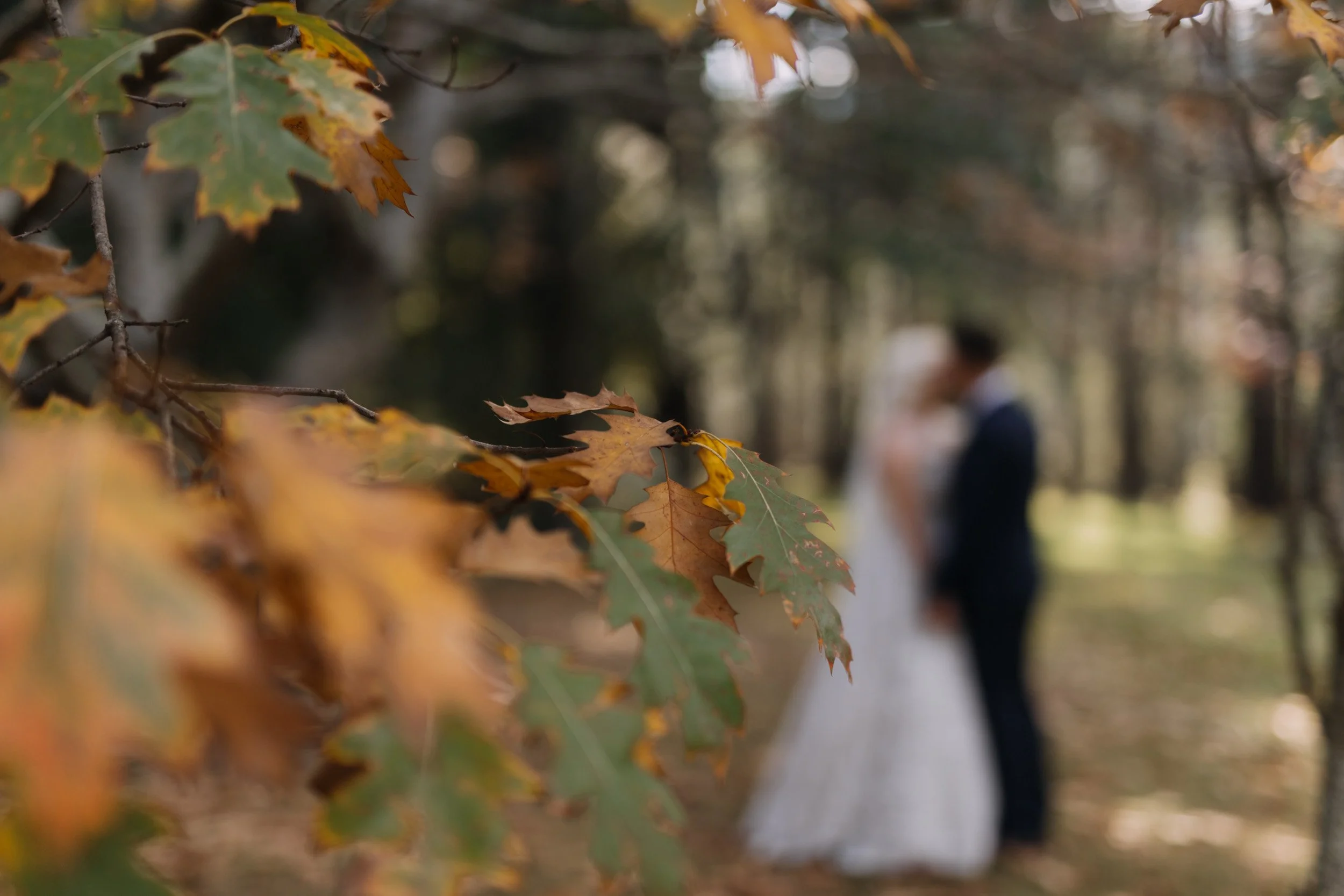 Katie & Josh-25.jpg