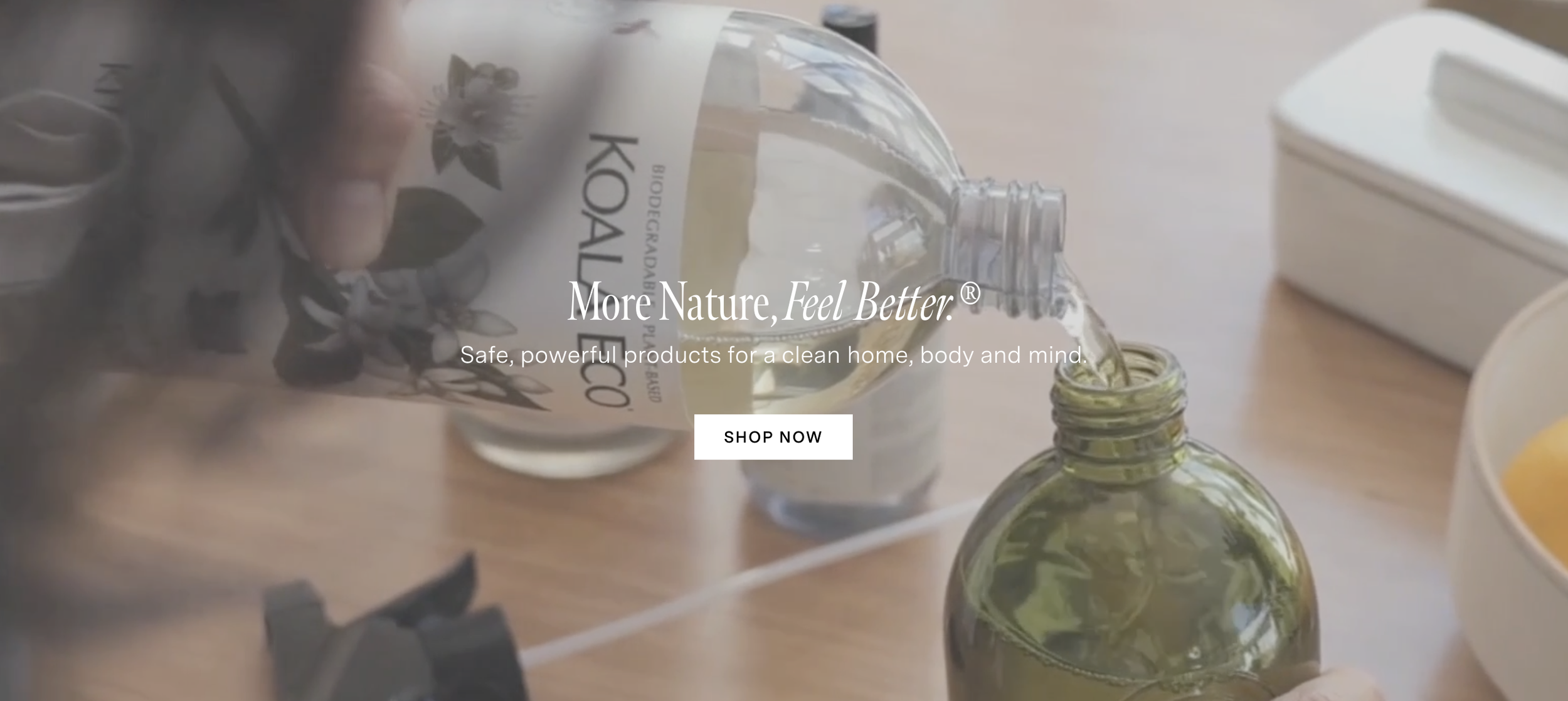 Koala Eco Brand
