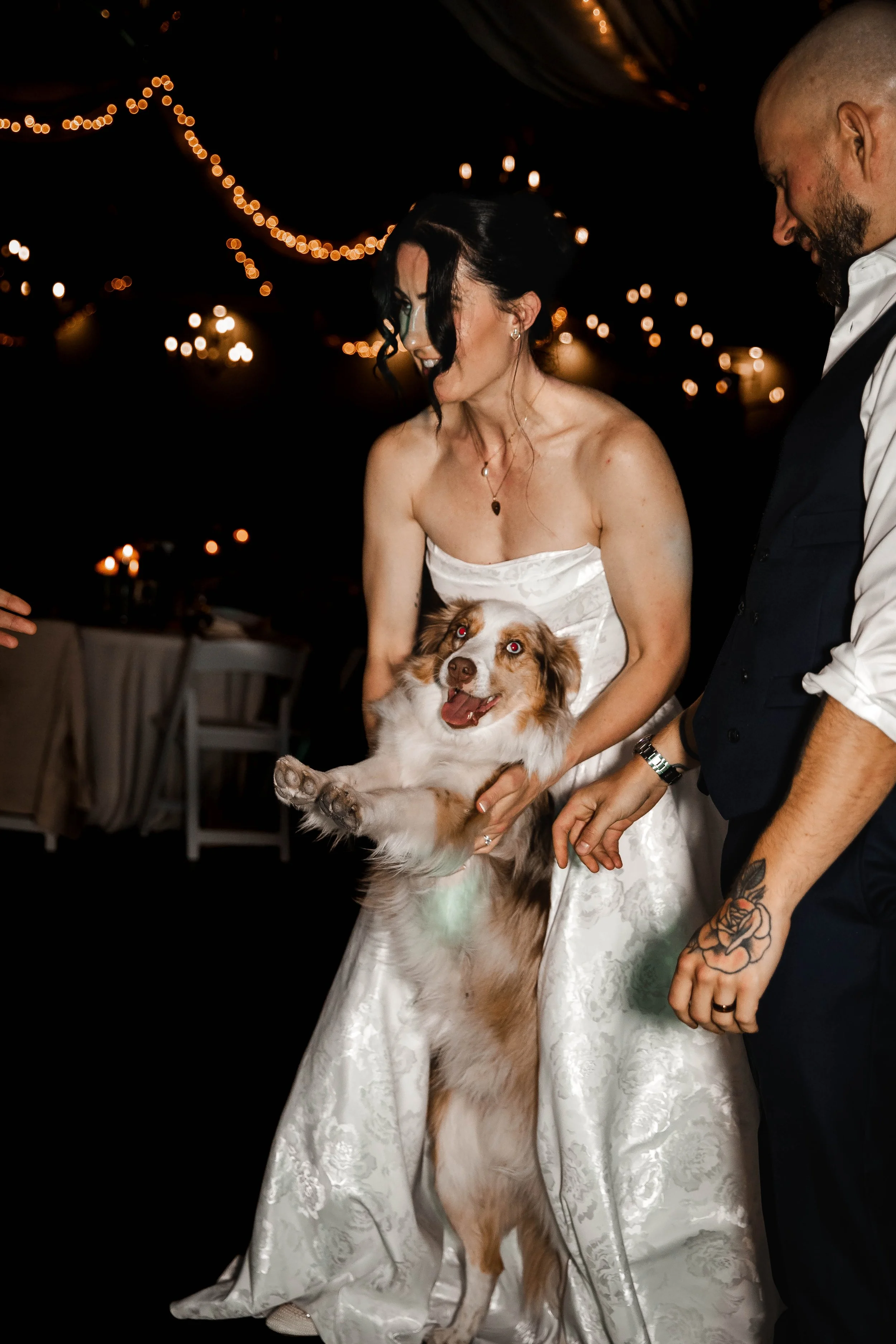 Bride holding a dog during an evening wedding reception with warm string lights.