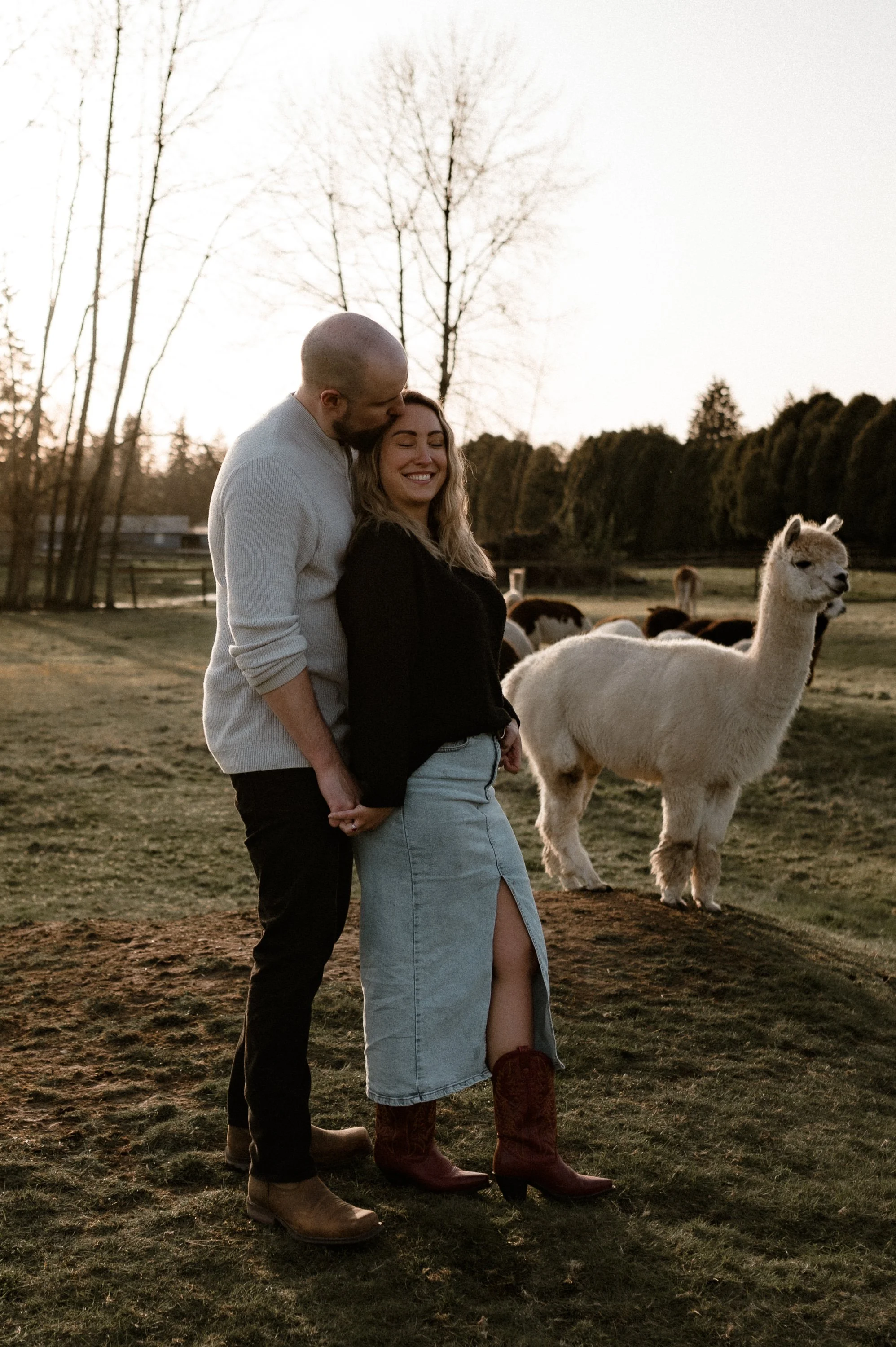 Antonia and Ryan, the husband-and-wife wedding photography and videography team behind Messmer Meadows, sharing a romantic moment outdoors beside alpacas in British Columbia.